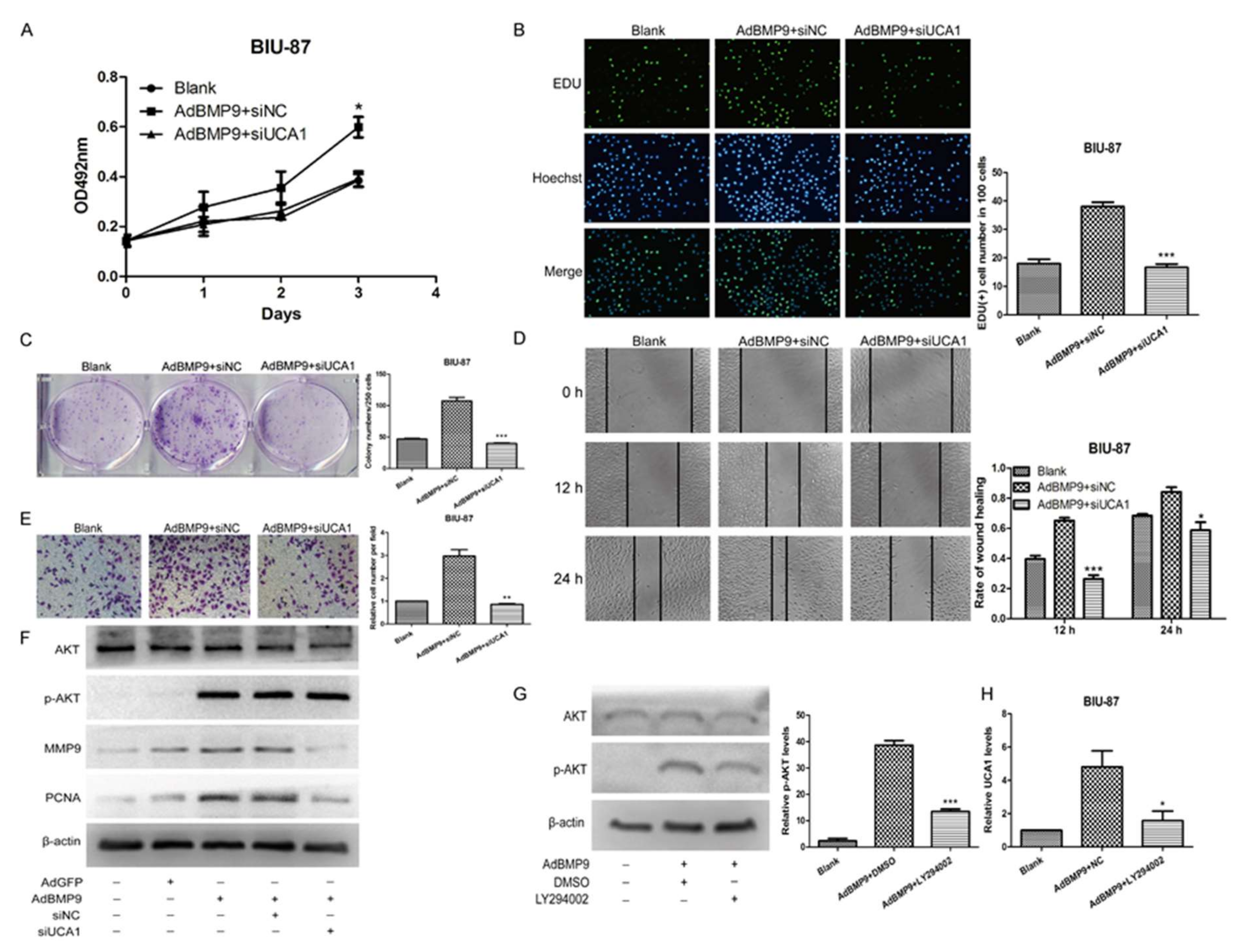 Ijms 19 01116 g004 Ijms 19 01116 g004