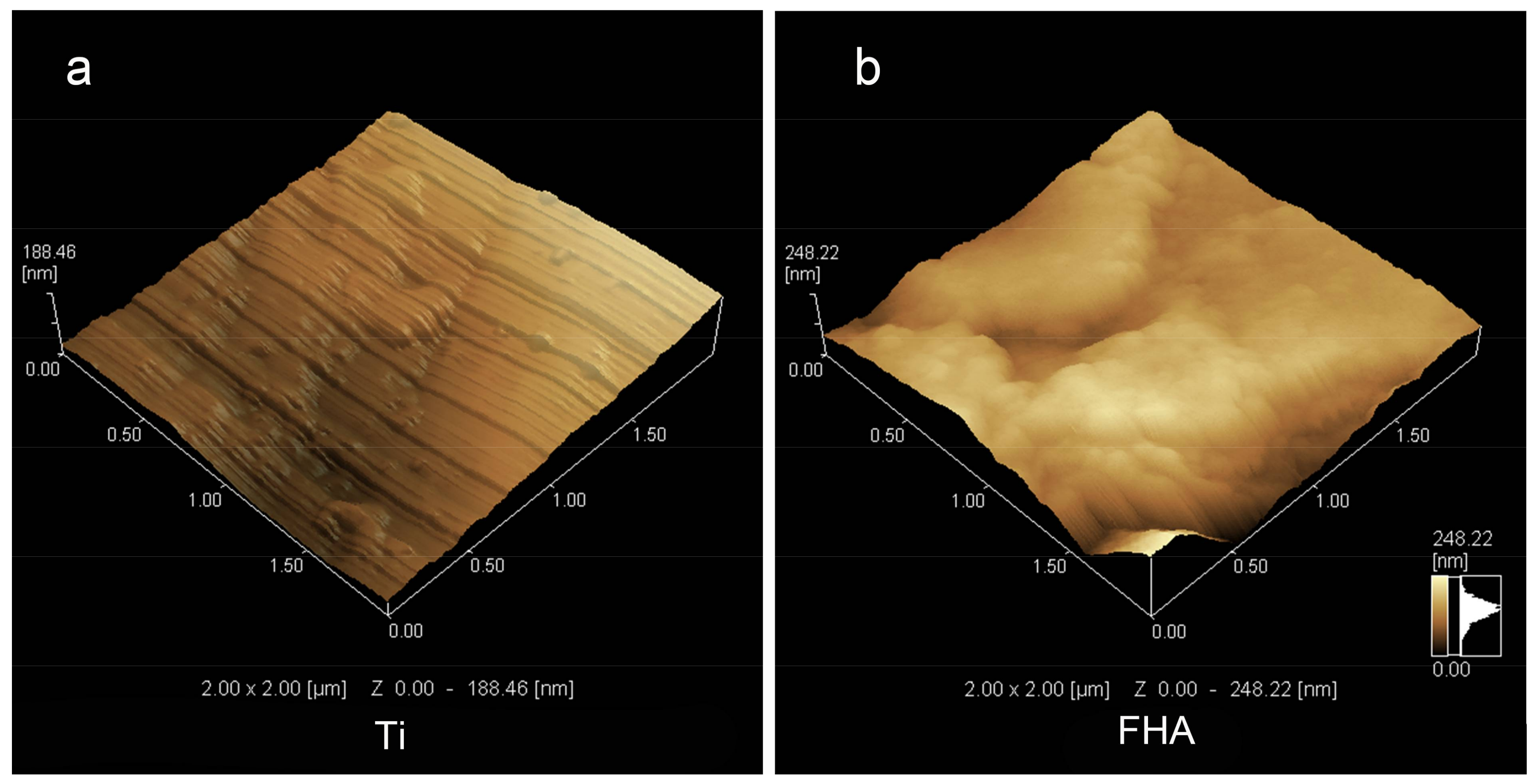 Ijms 19 01127 g003 550