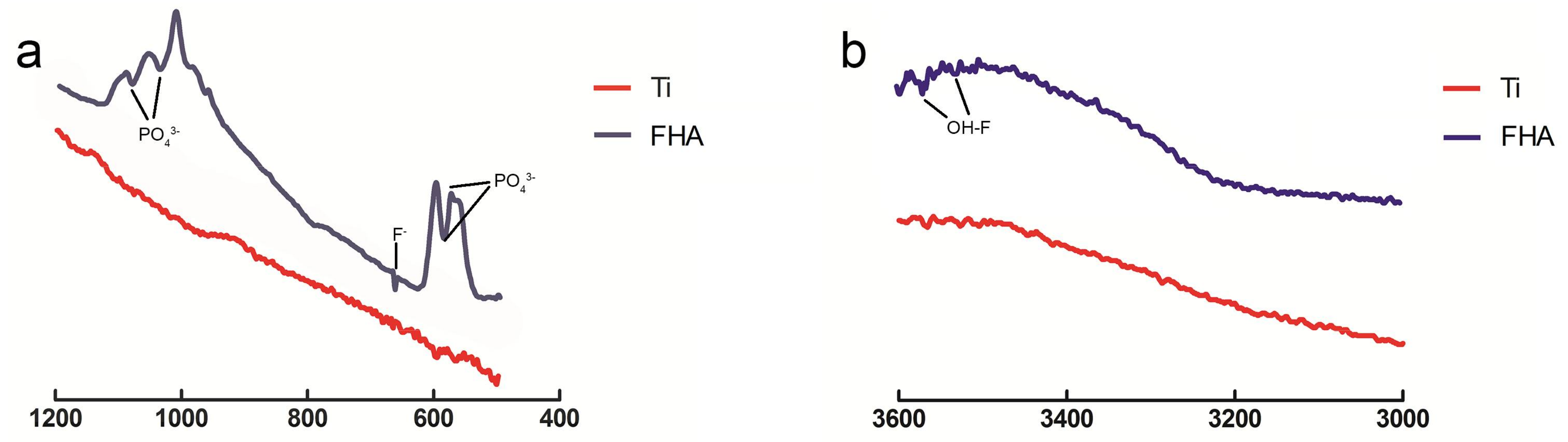 Ijms 19 01127 g004 550