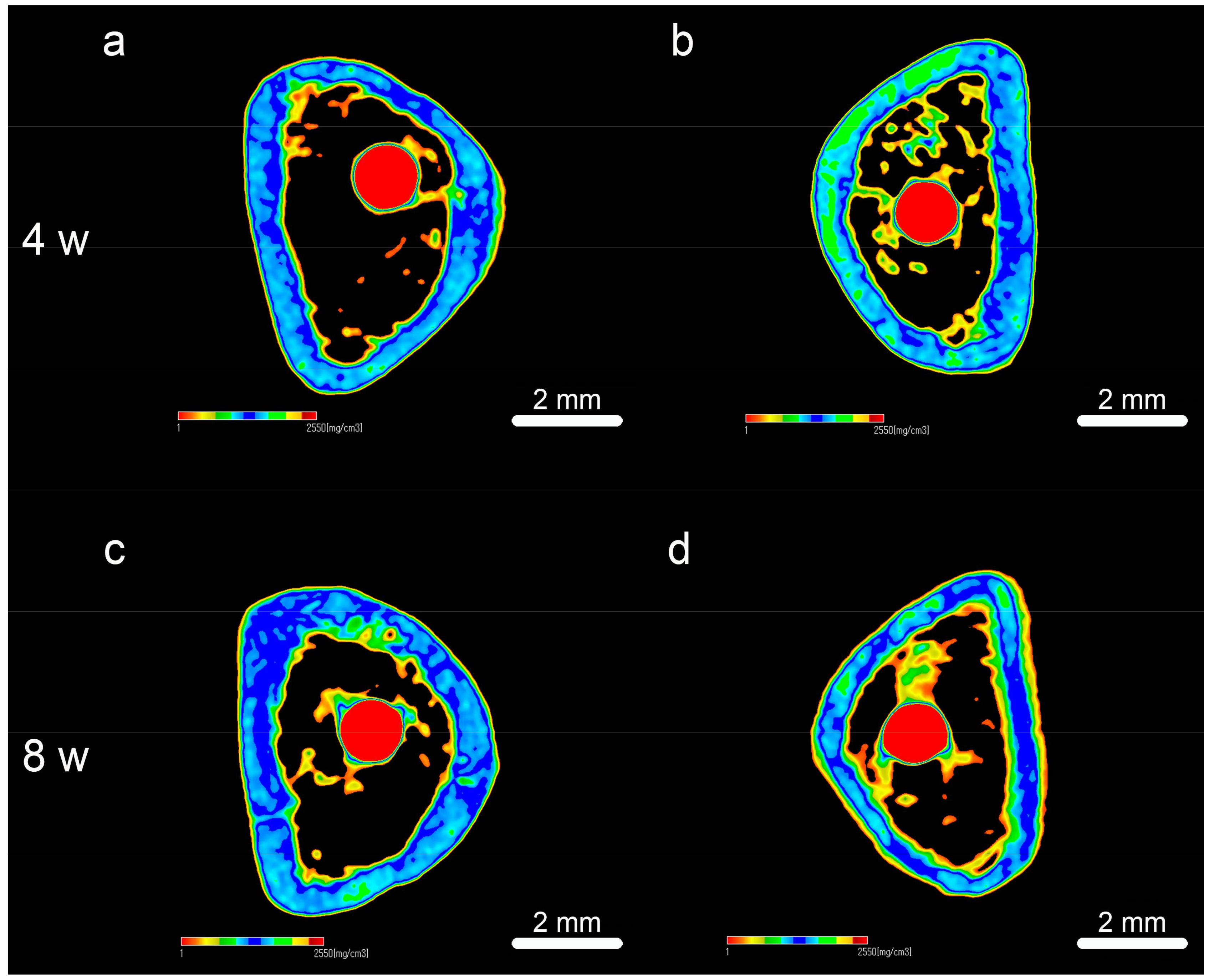 Ijms 19 01127 g008 550