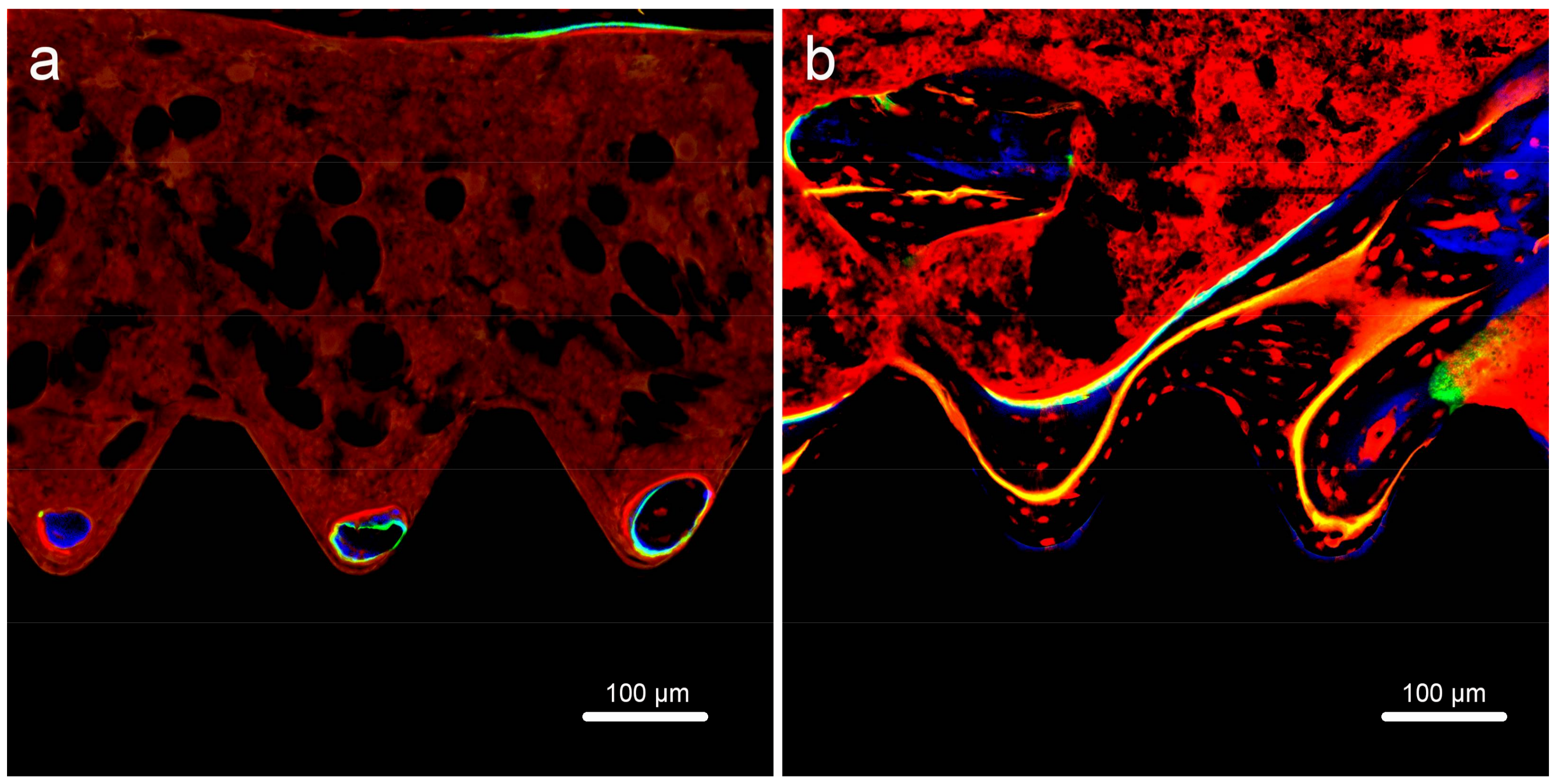 Ijms 19 01127 g012 550