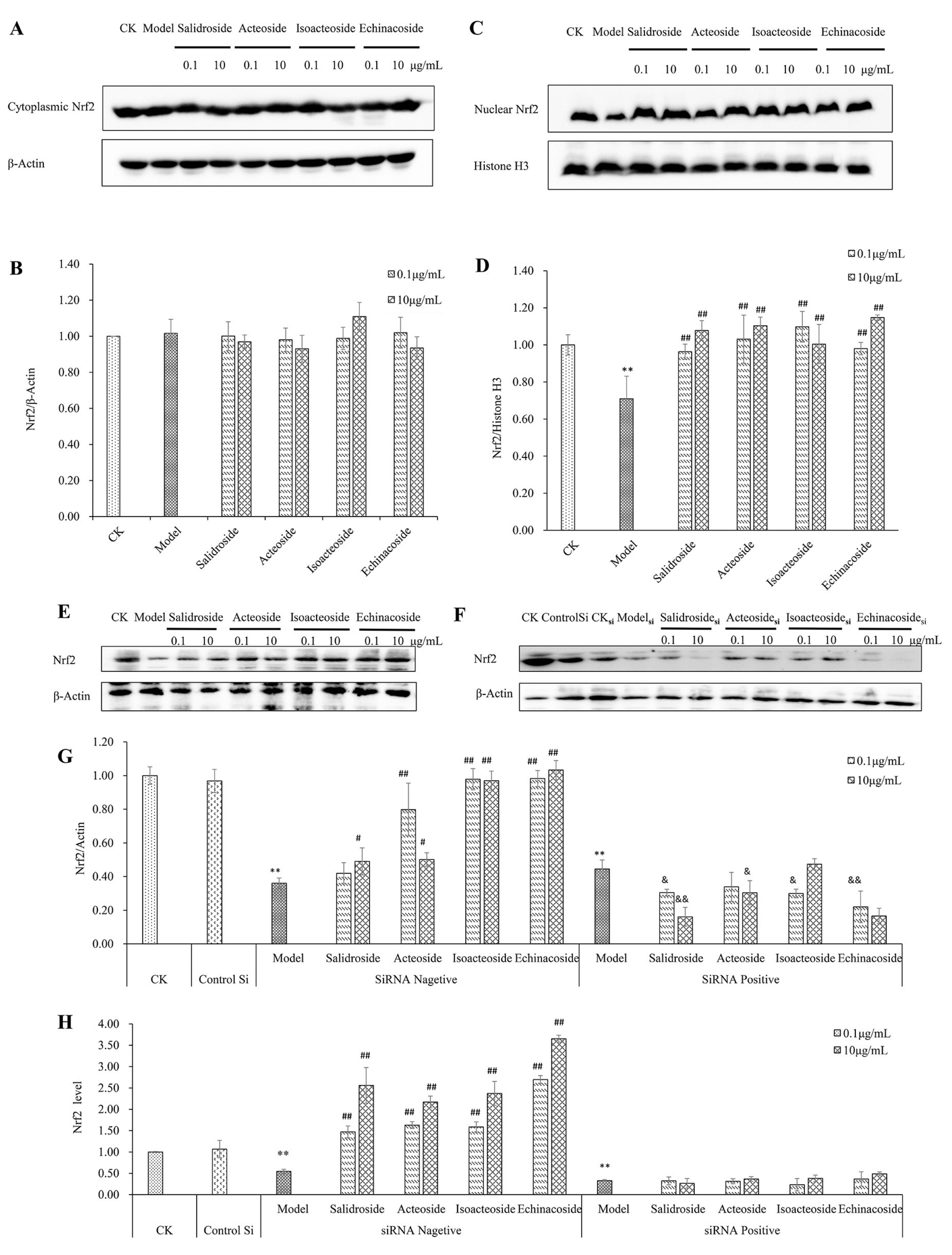 Ijms 19 01135 g005a Ijms 19 01135 g005a
