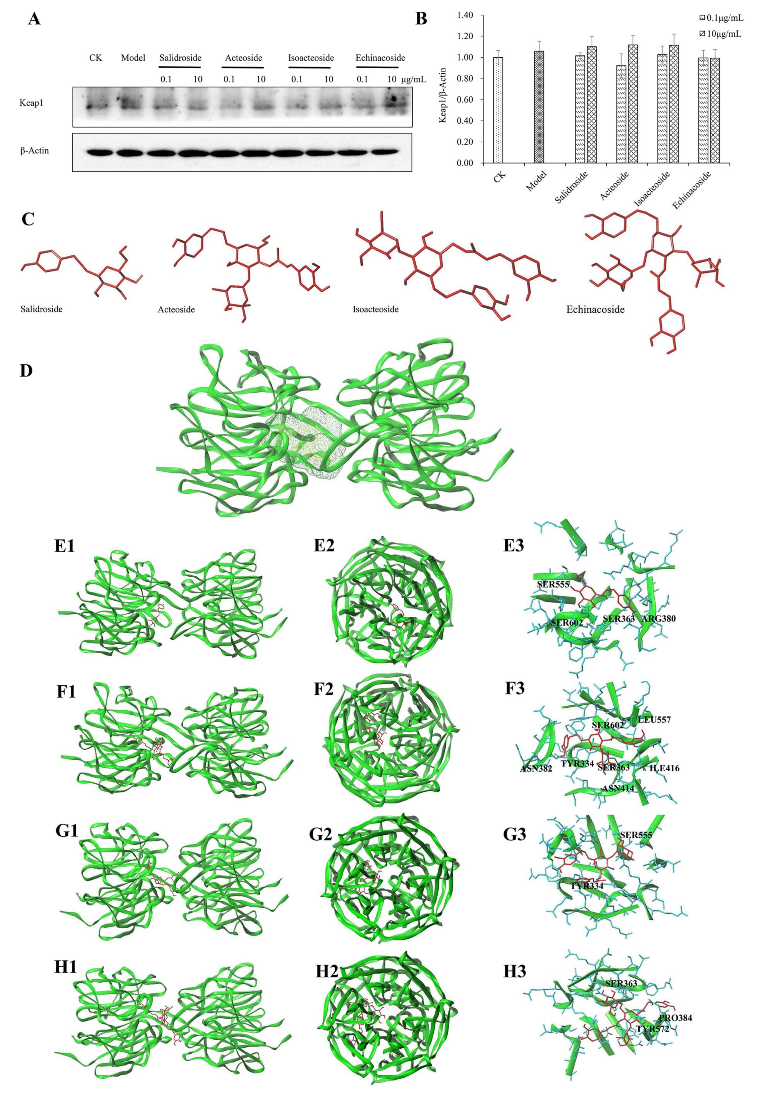 Ijms 19 01135 g007 Ijms 19 01135 g007