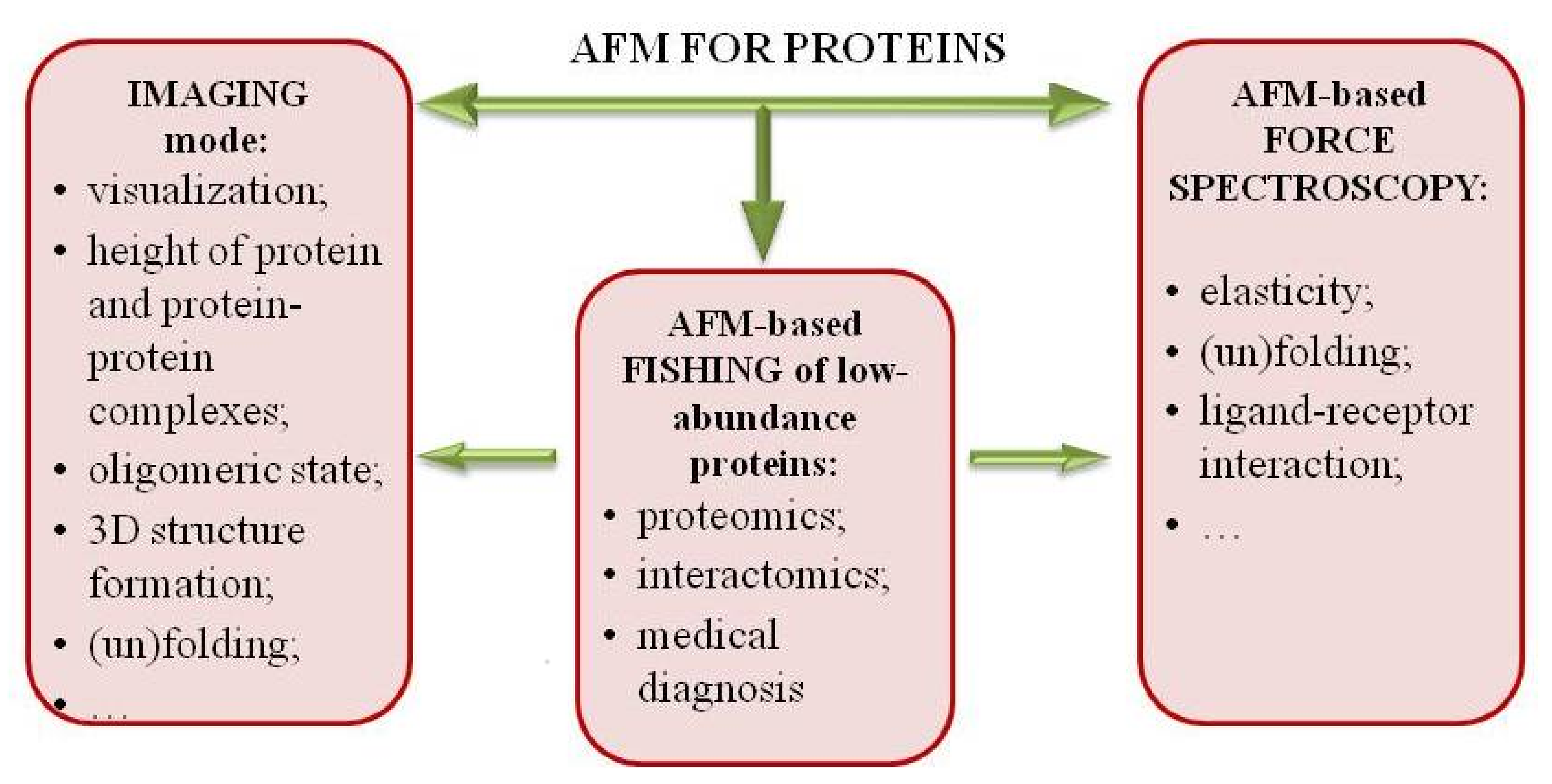 Ijms 19 01142 g001 Ijms 19 01142 g001
