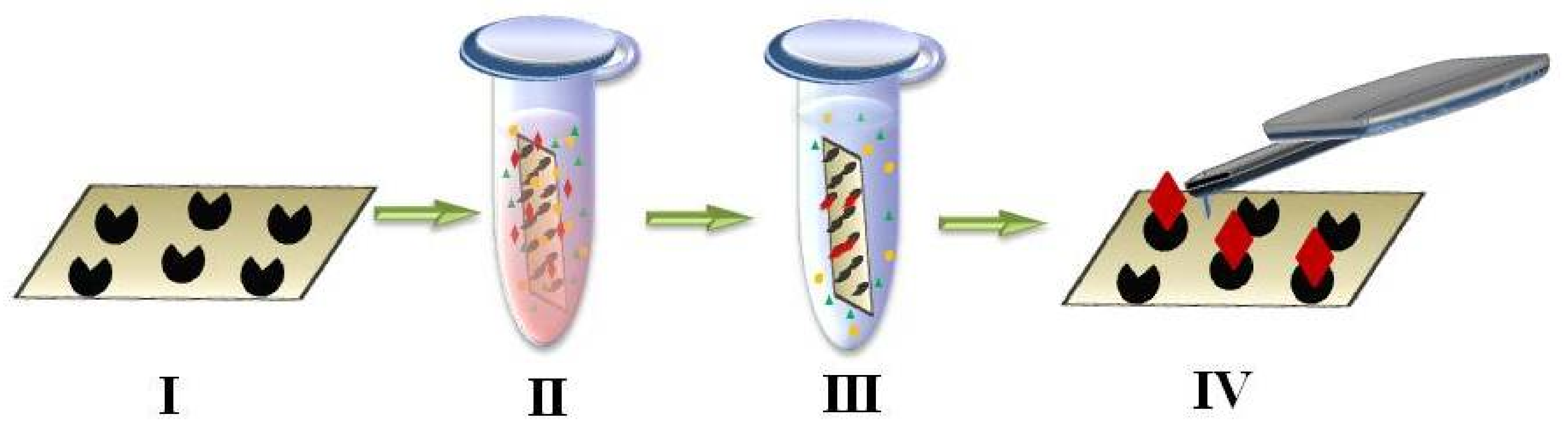 Ijms 19 01142 g003 Ijms 19 01142 g003