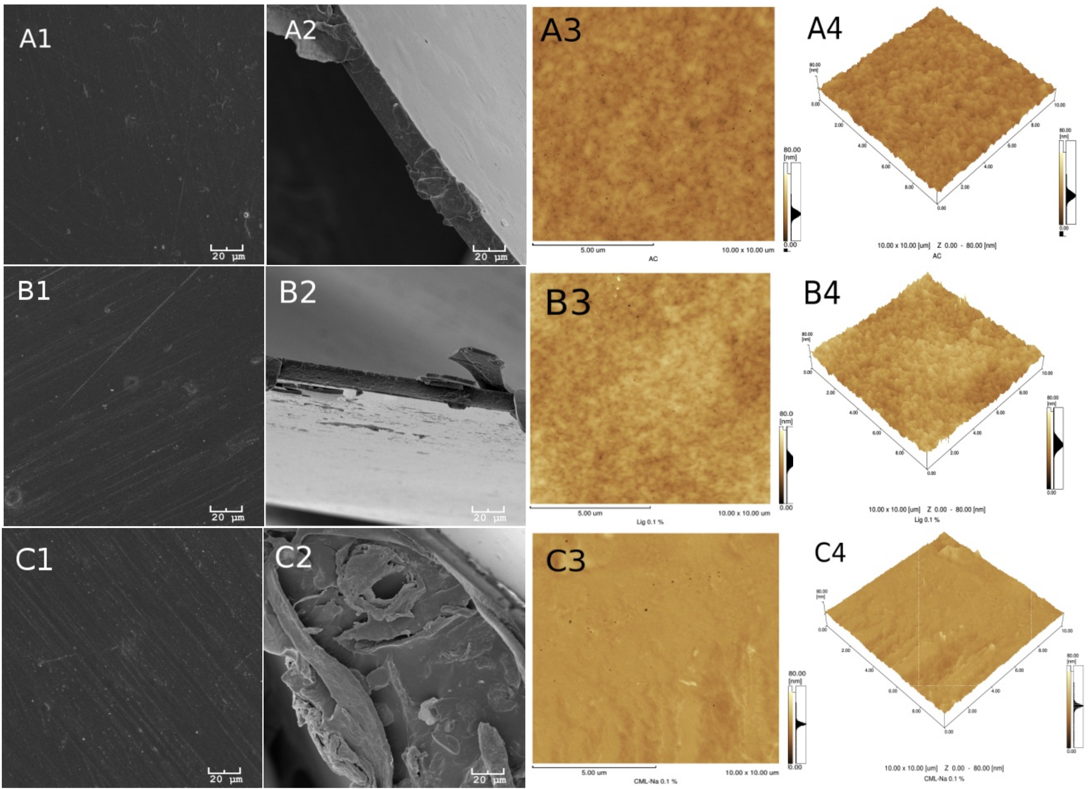 Ijms 19 01143 g002a 550