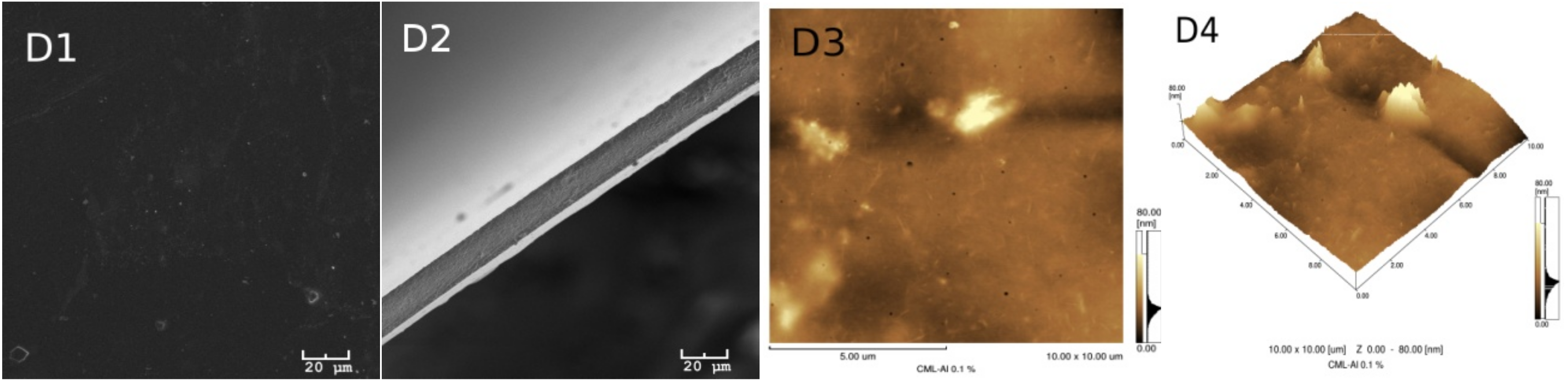 Ijms 19 01143 g002b 550