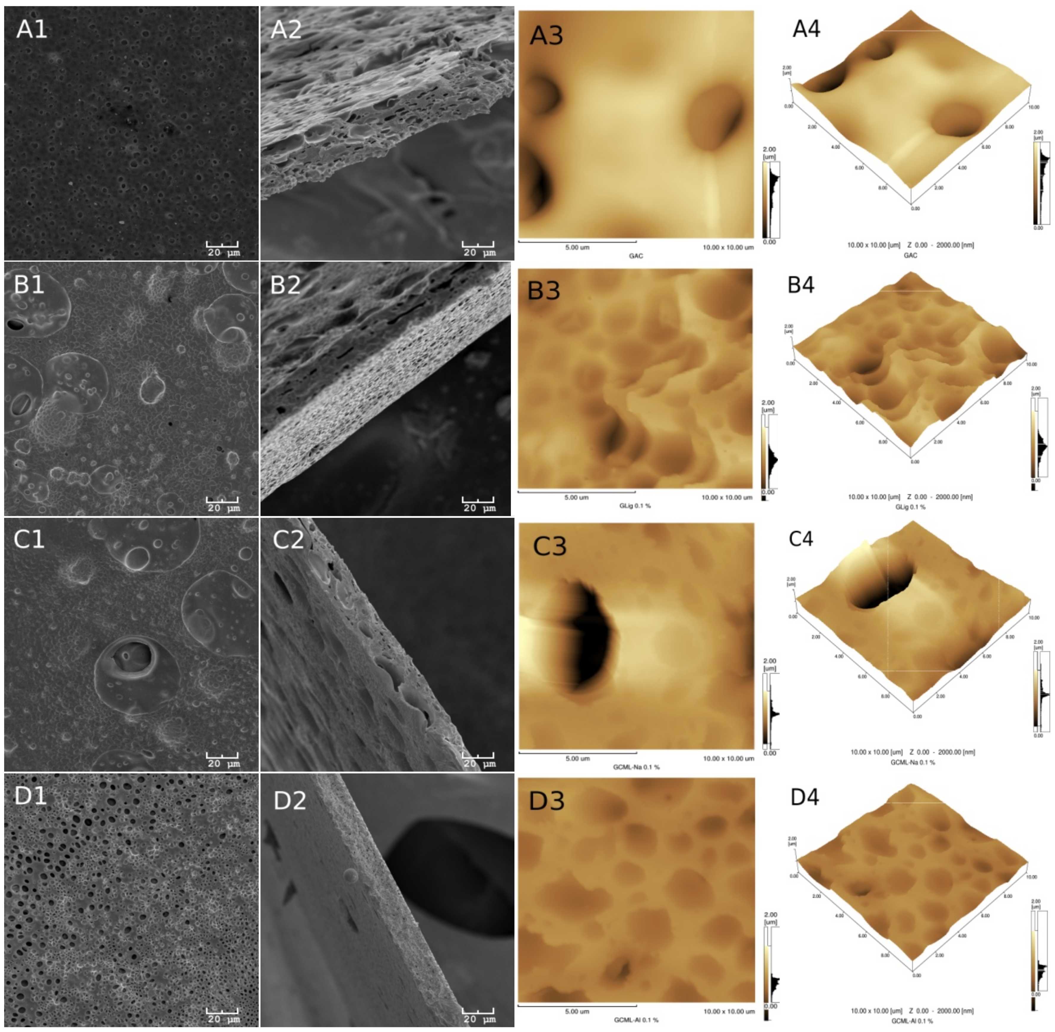 Ijms 19 01143 g003 550