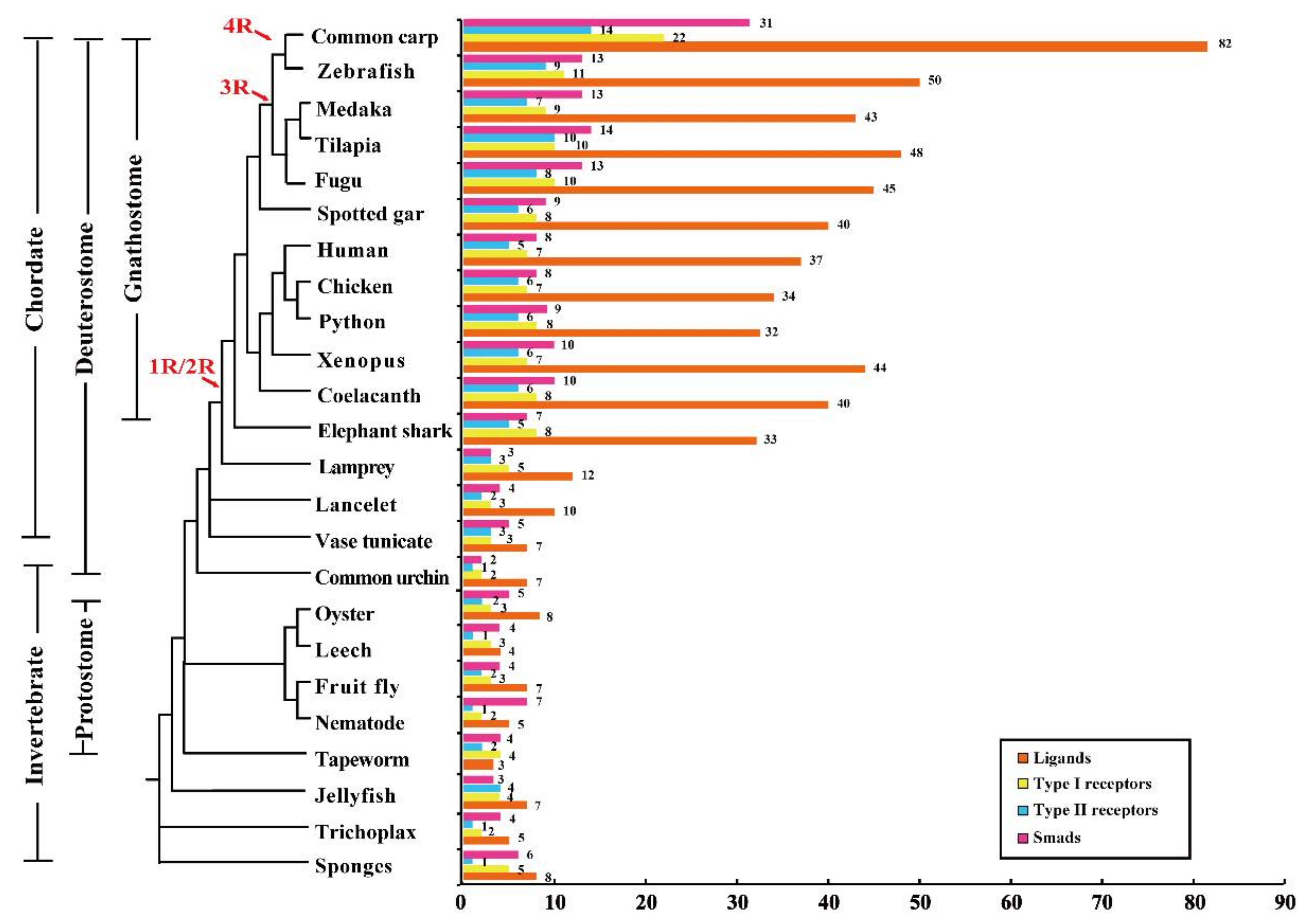 Ijms 19 01154 g001 Ijms 19 01154 g001