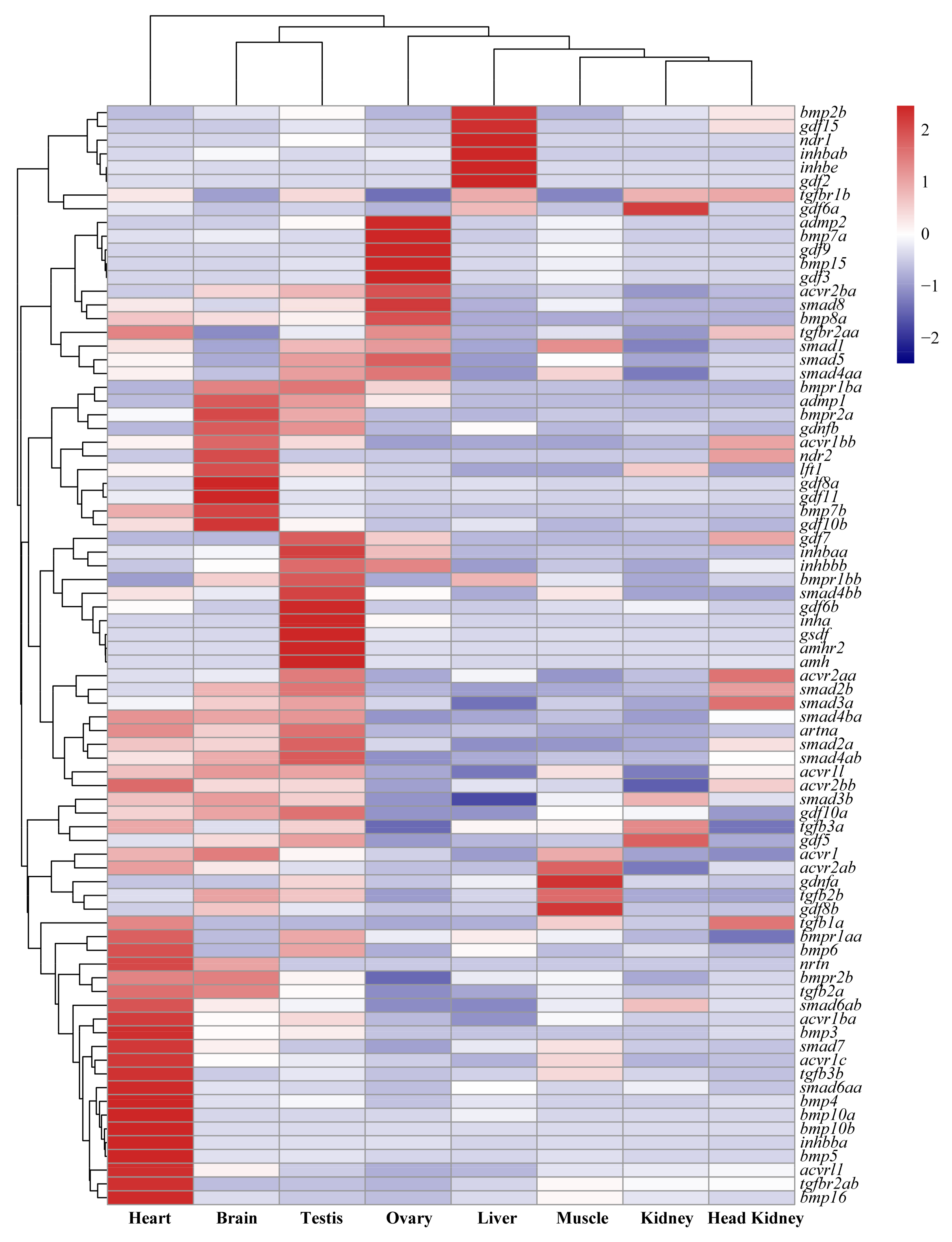 Ijms 19 01154 g006 Ijms 19 01154 g006