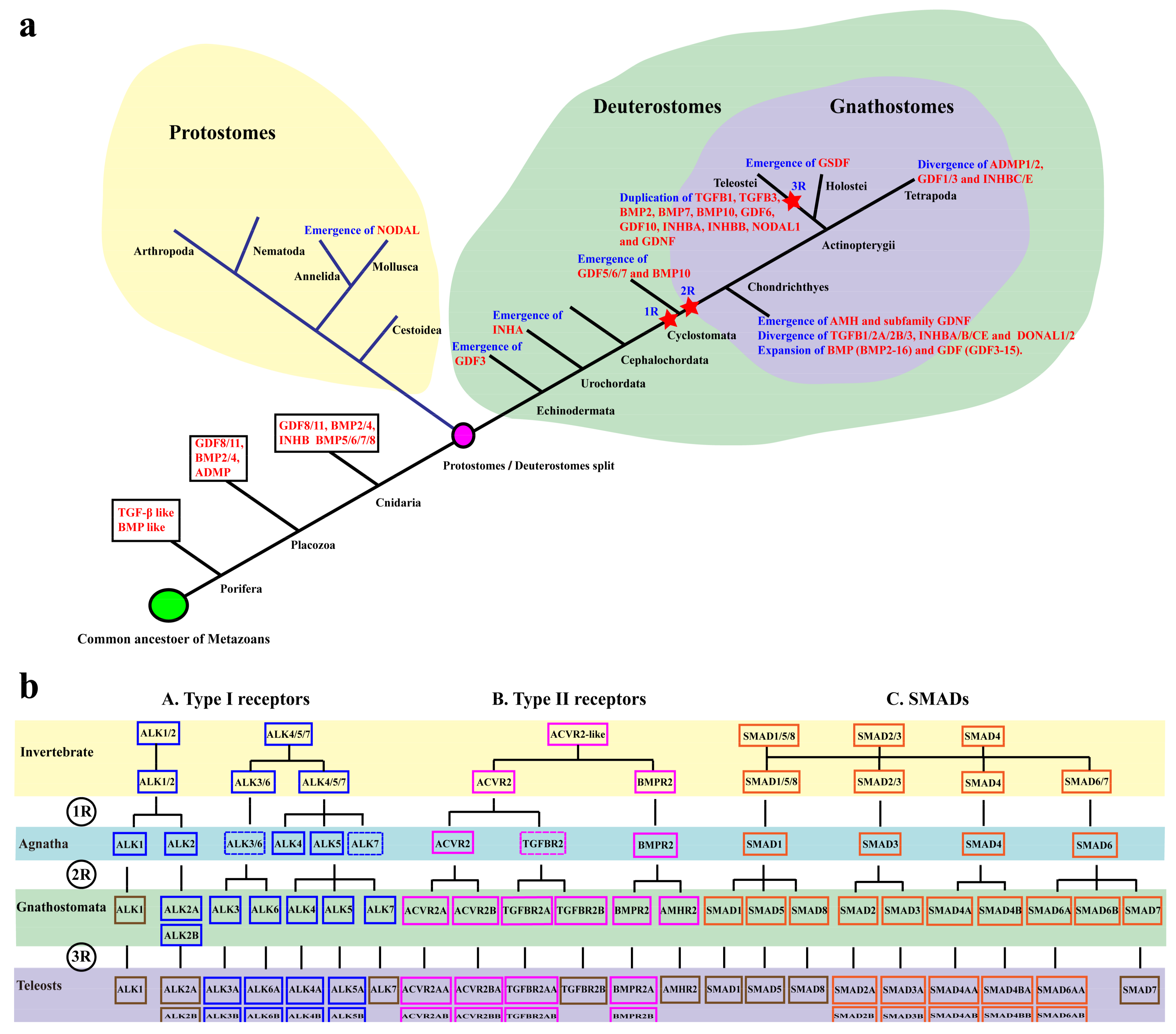 Ijms 19 01154 g010 Ijms 19 01154 g010