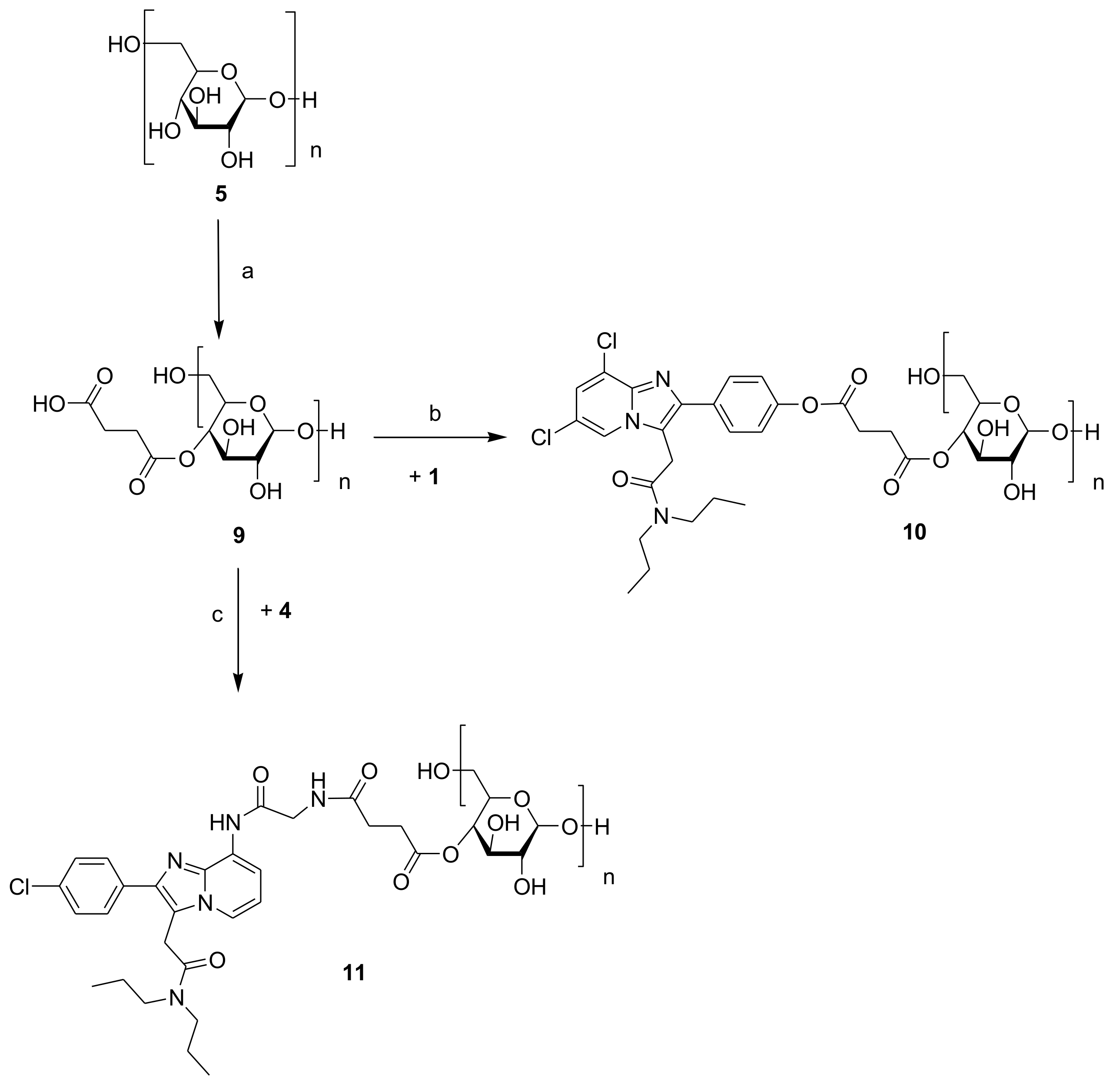 Ijms 19 01155 g003