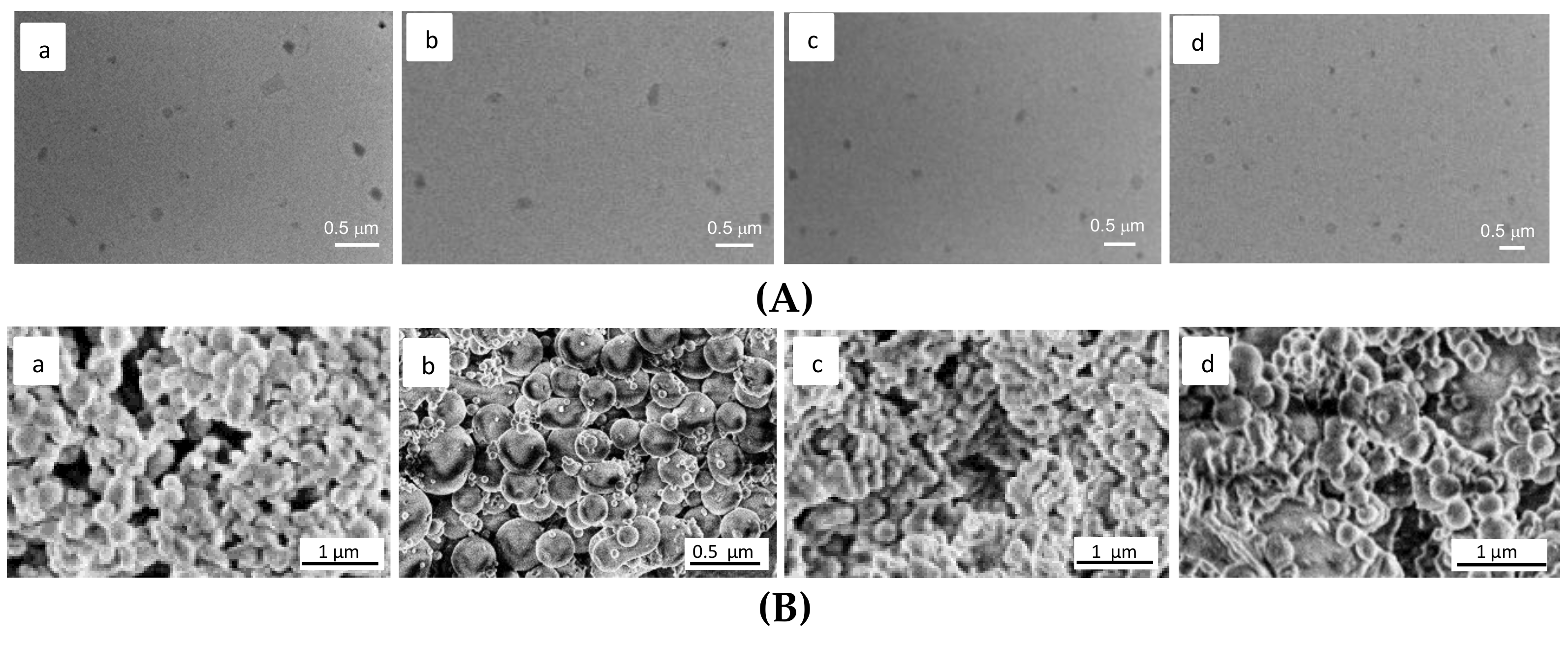 Ijms 19 01155 g009