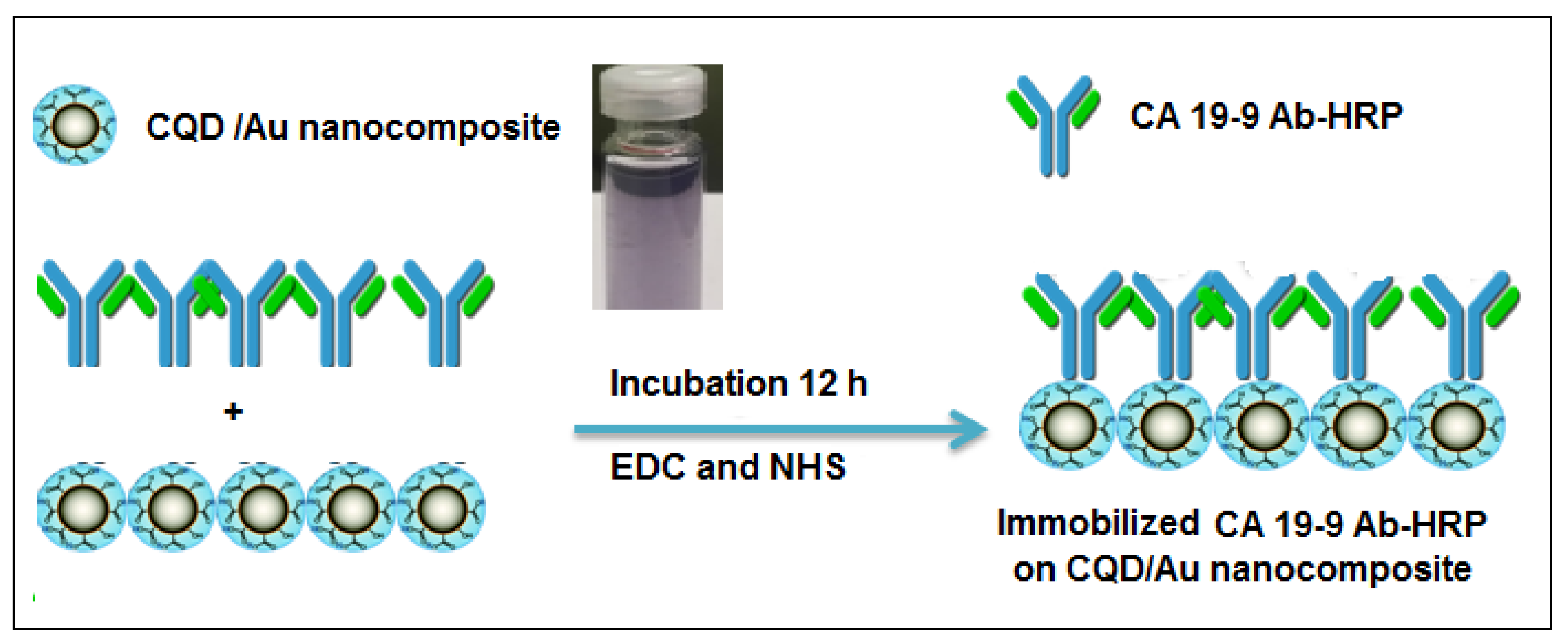Ijms 19 01162 sch002 Ijms 19 01162 sch002