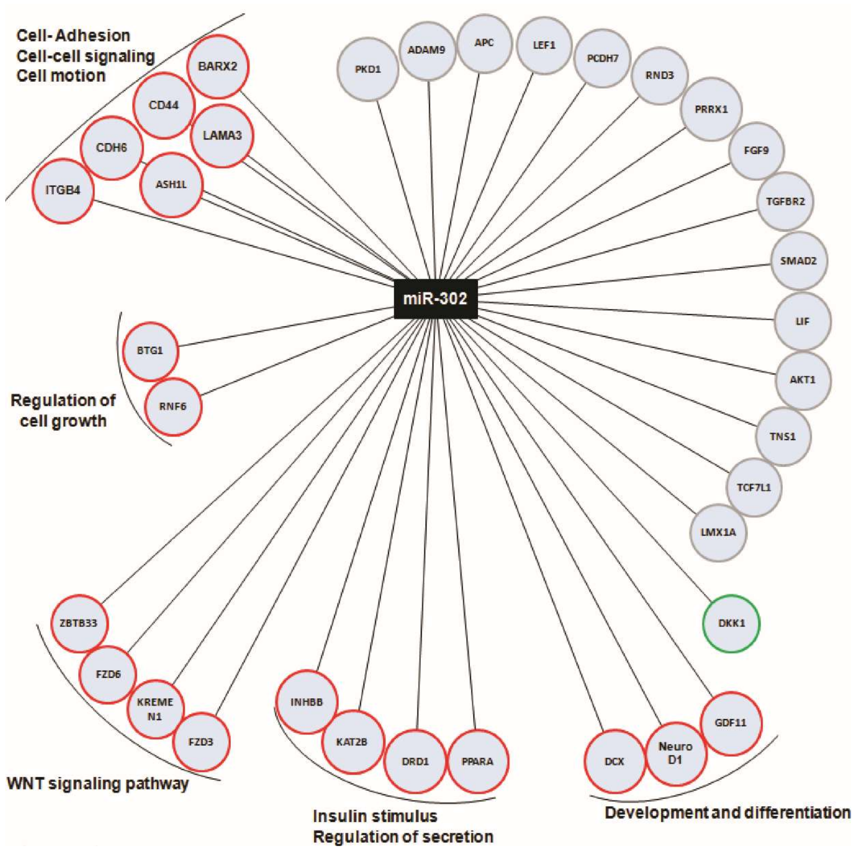 Ijms Free Full Text Microrna Expression Analysis Of In Vitro