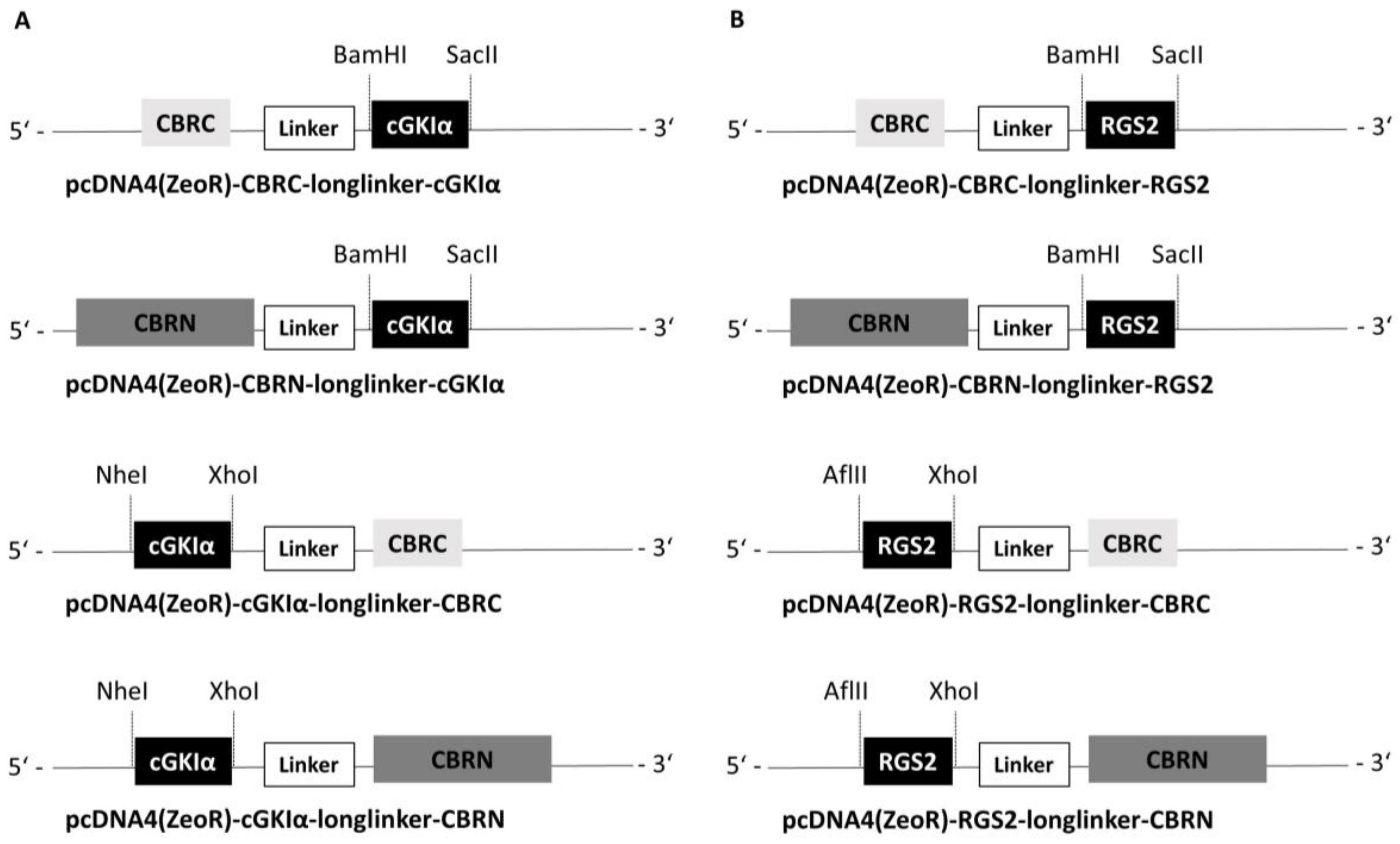 Ijms 19 01180 g001 Ijms 19 01180 g001