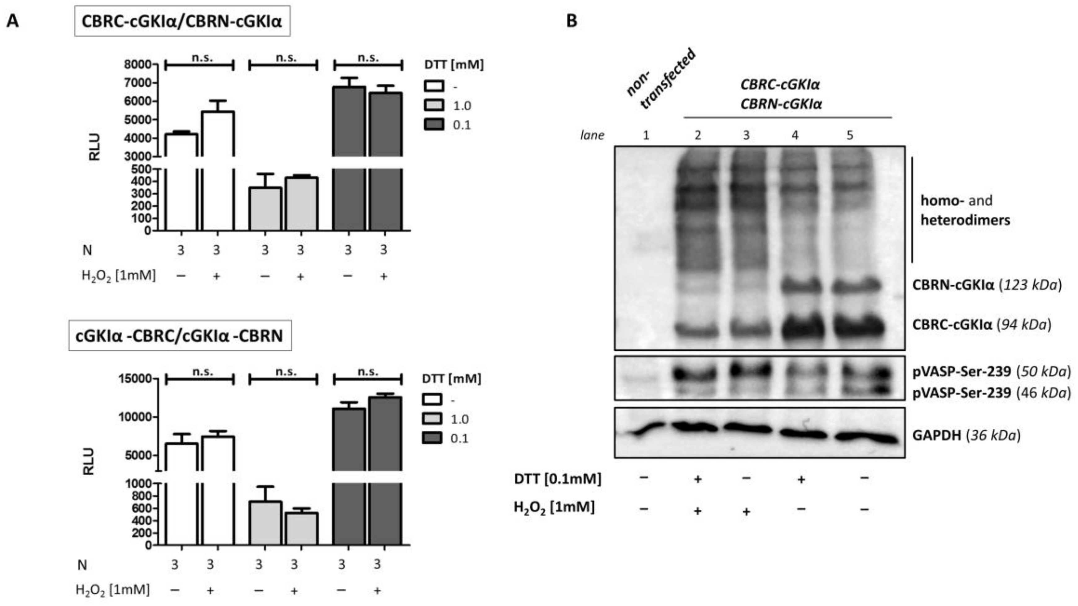 Ijms 19 01180 g008 Ijms 19 01180 g008