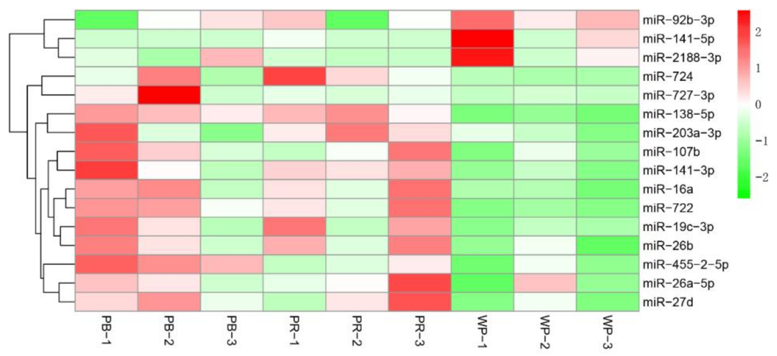 Ijms 19 01209 g003 Ijms 19 01209 g003