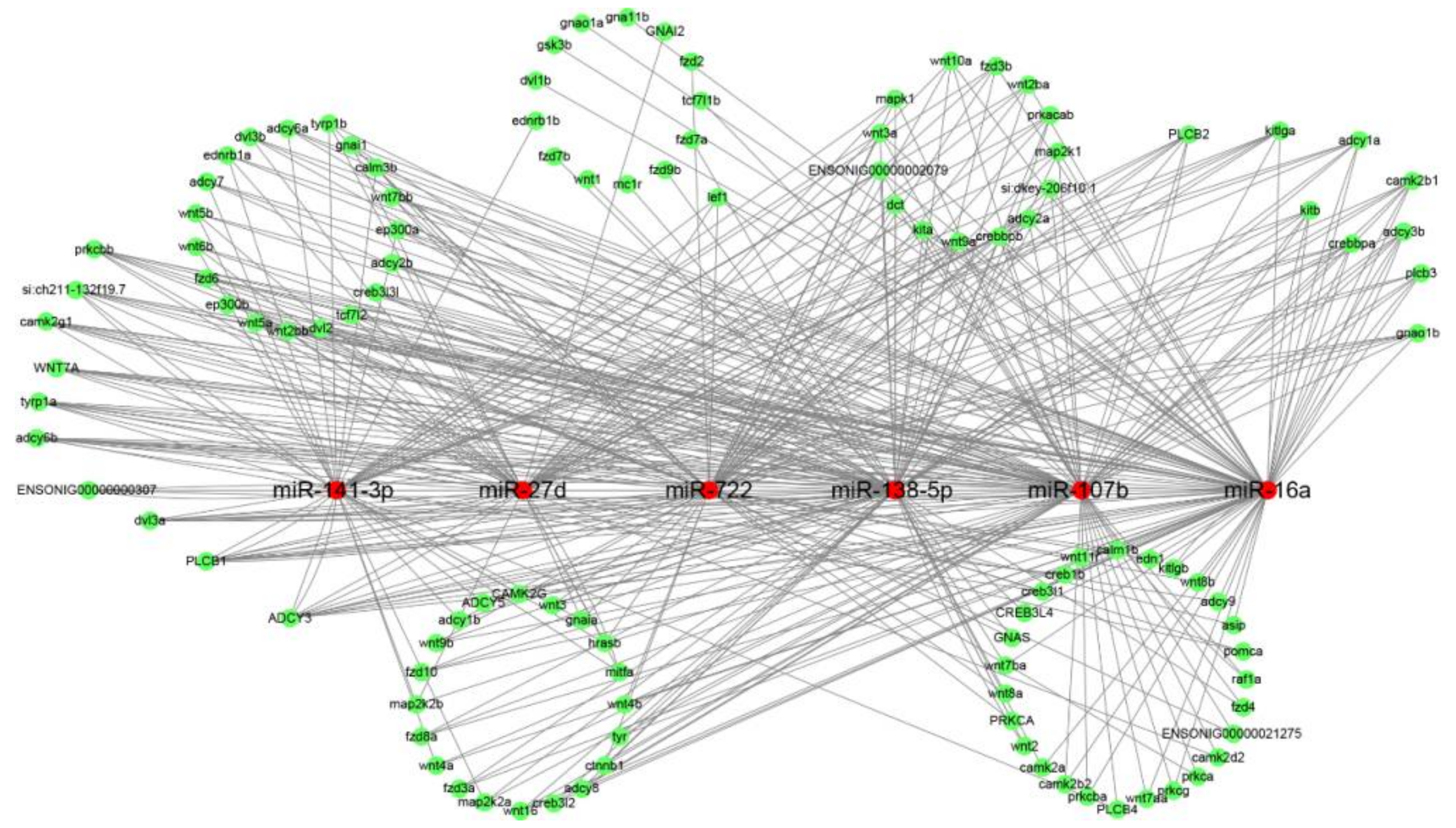 Ijms 19 01209 g005 Ijms 19 01209 g005