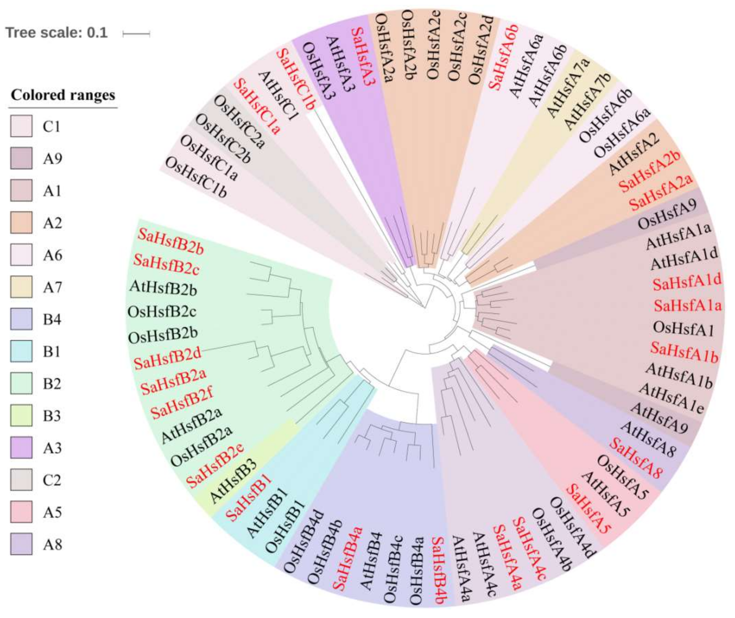 Ijms 19 01216 g001 550