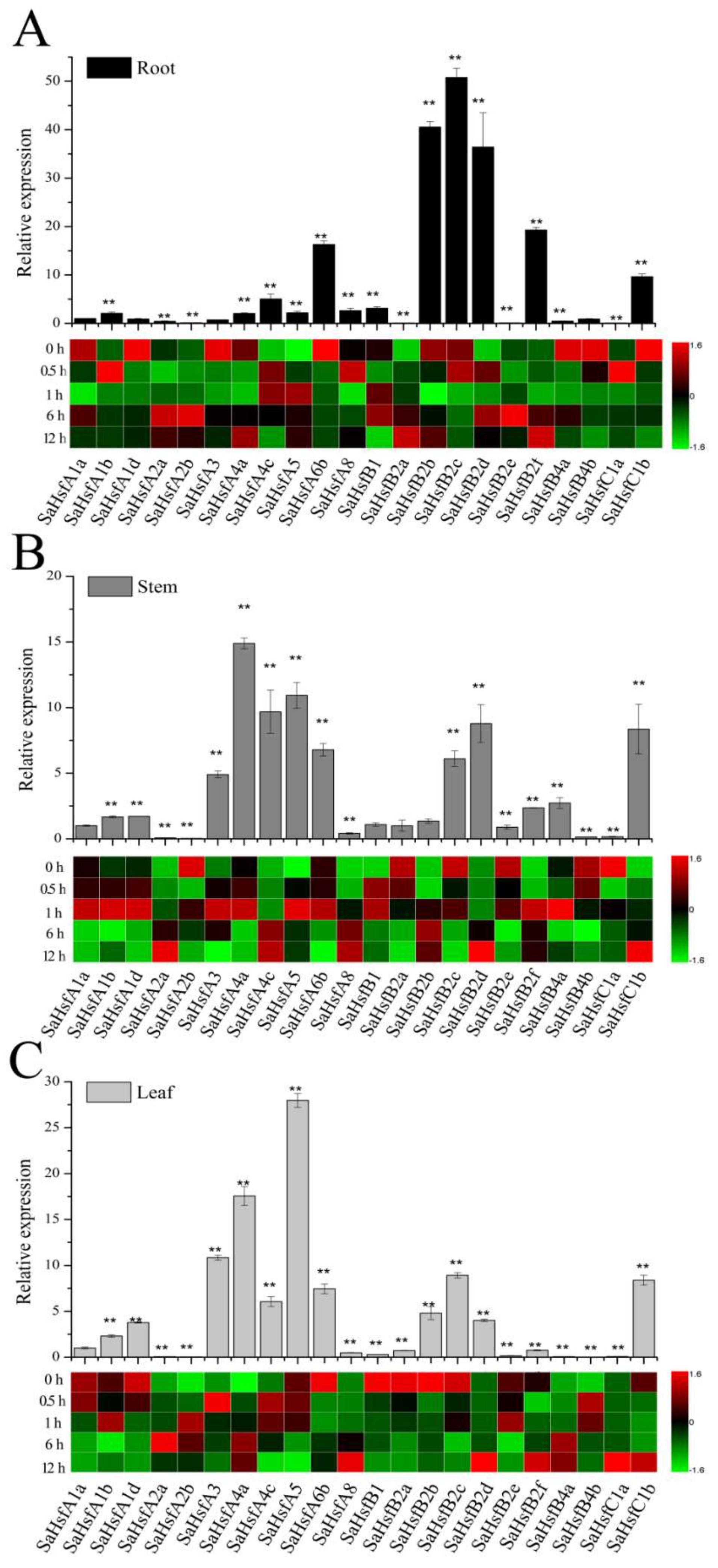 Ijms 19 01216 g004 550