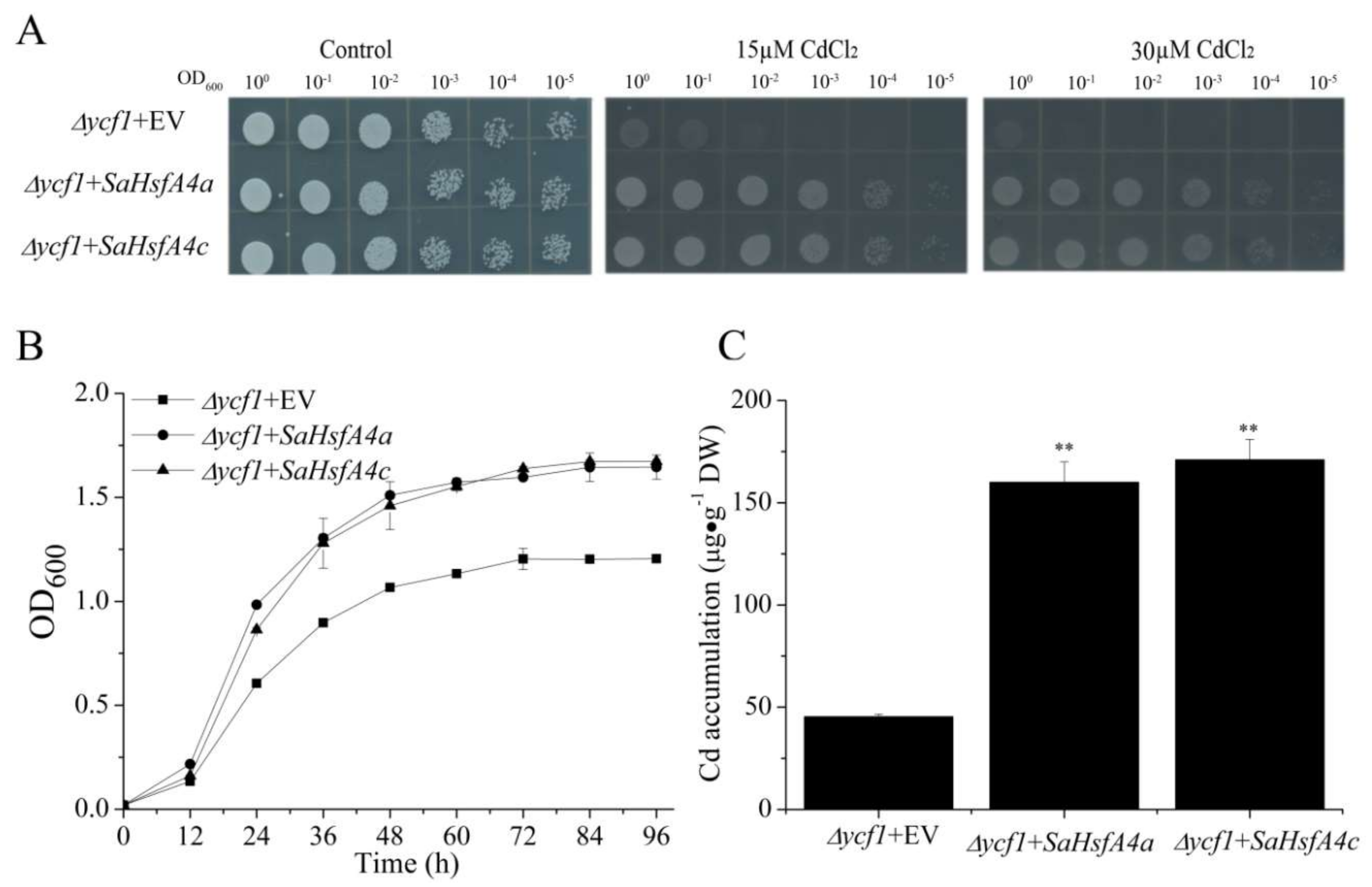 Ijms 19 01216 g006 550
