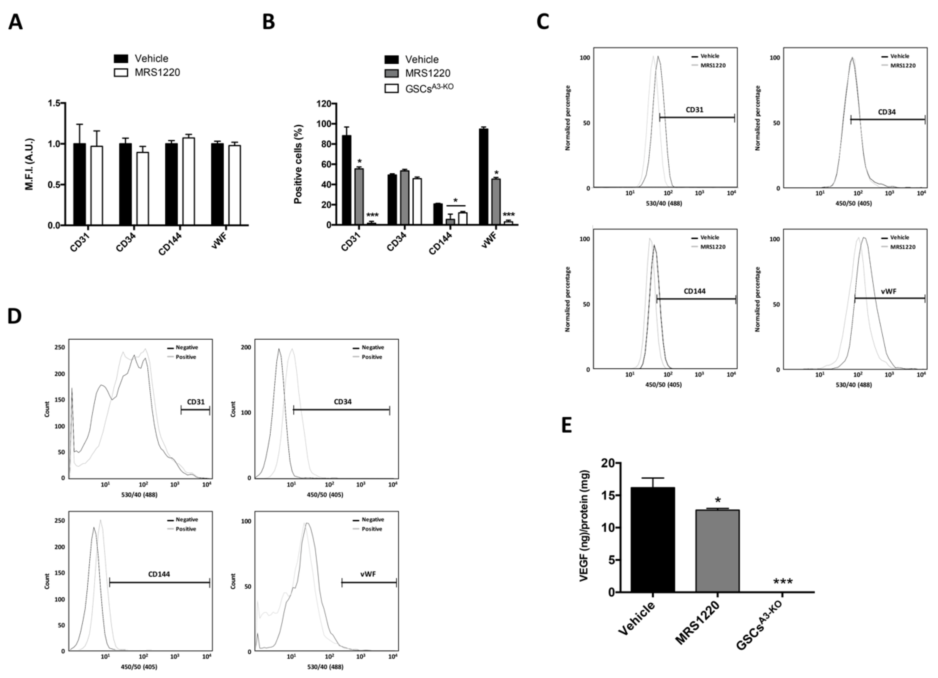 Ijms 19 01228 g003 Ijms 19 01228 g003