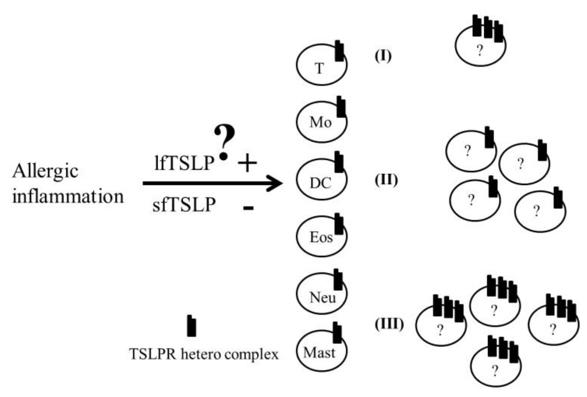 Ijms 19 01231 g002