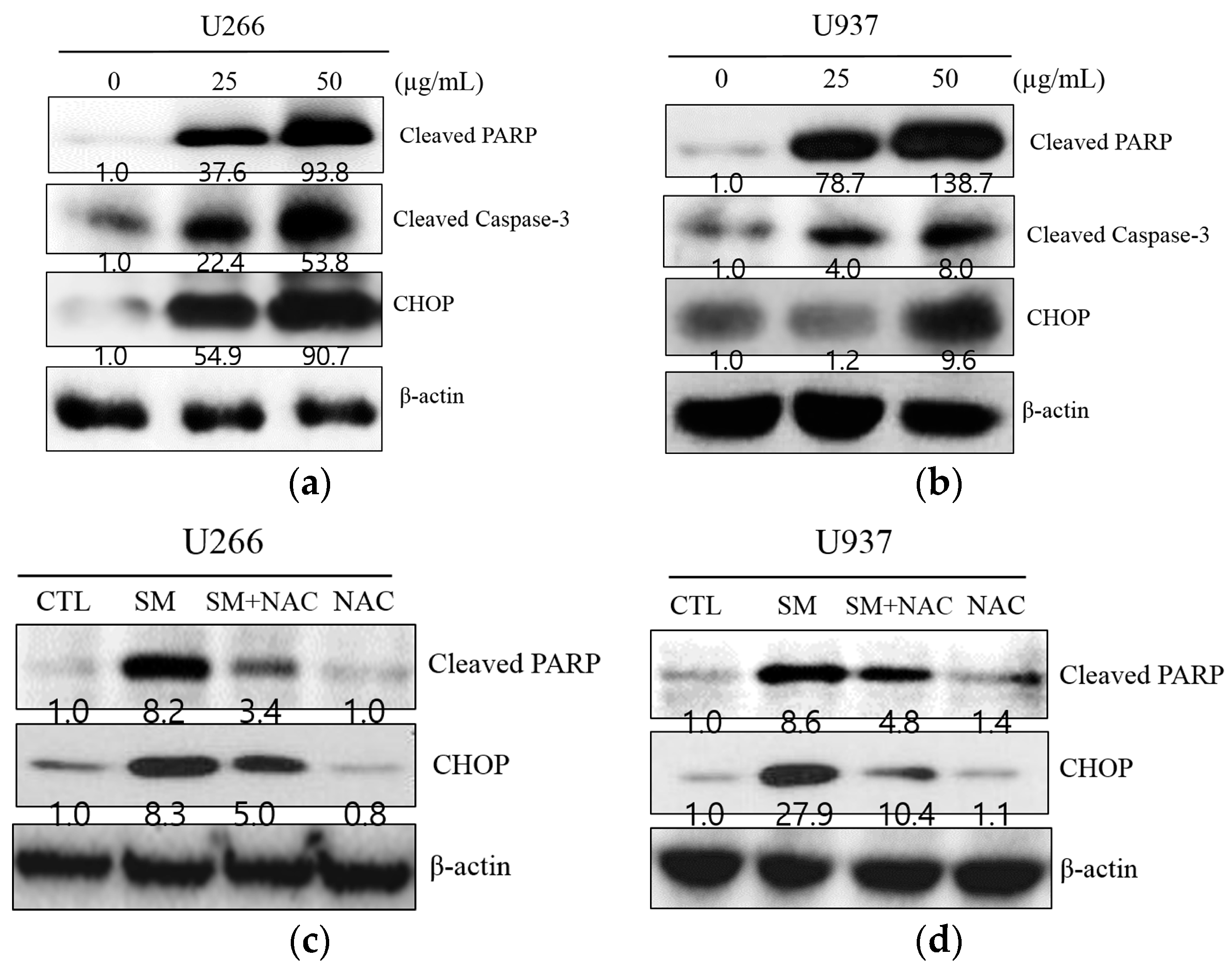 Ijms 19 01240 g004 550