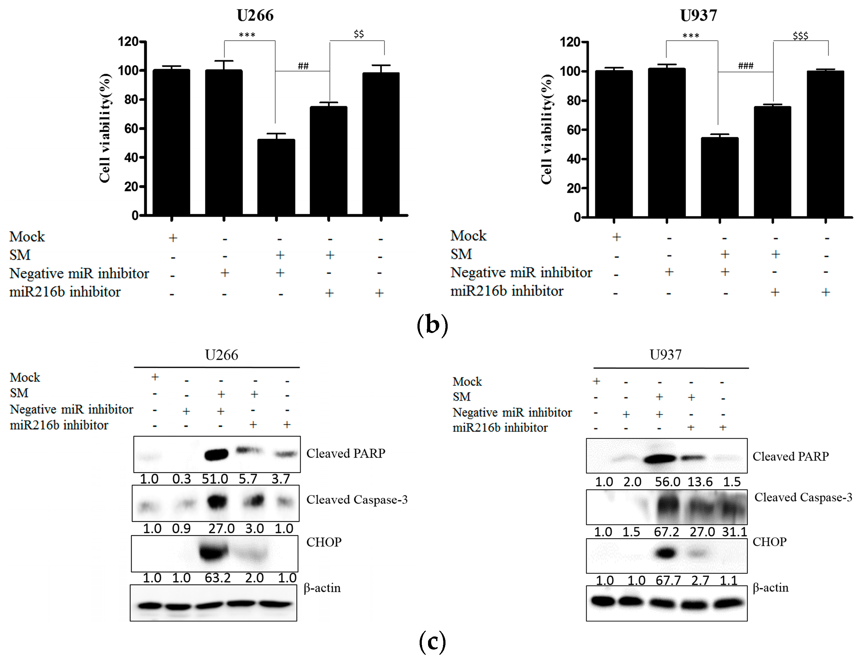 Ijms 19 01240 g006 550