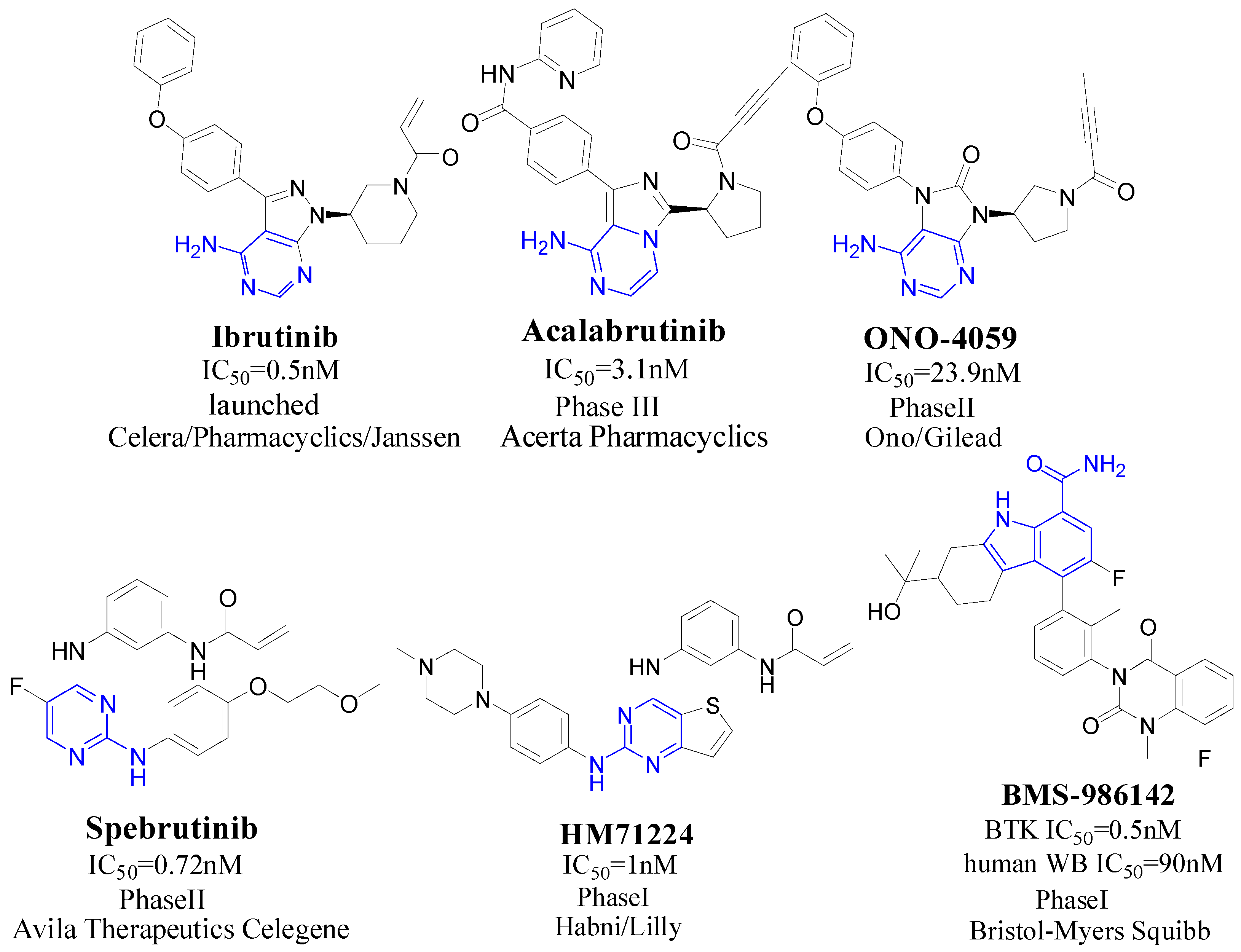 ijms free full text molecular modeling studies on btk university of design