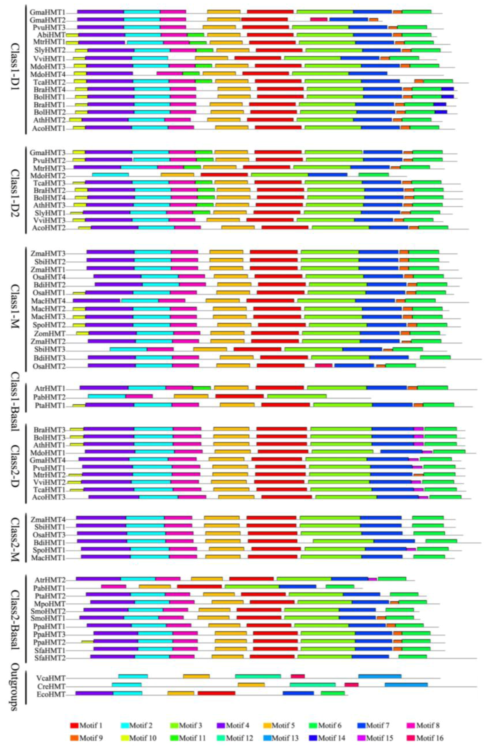 Ijms 19 01248 g002 550