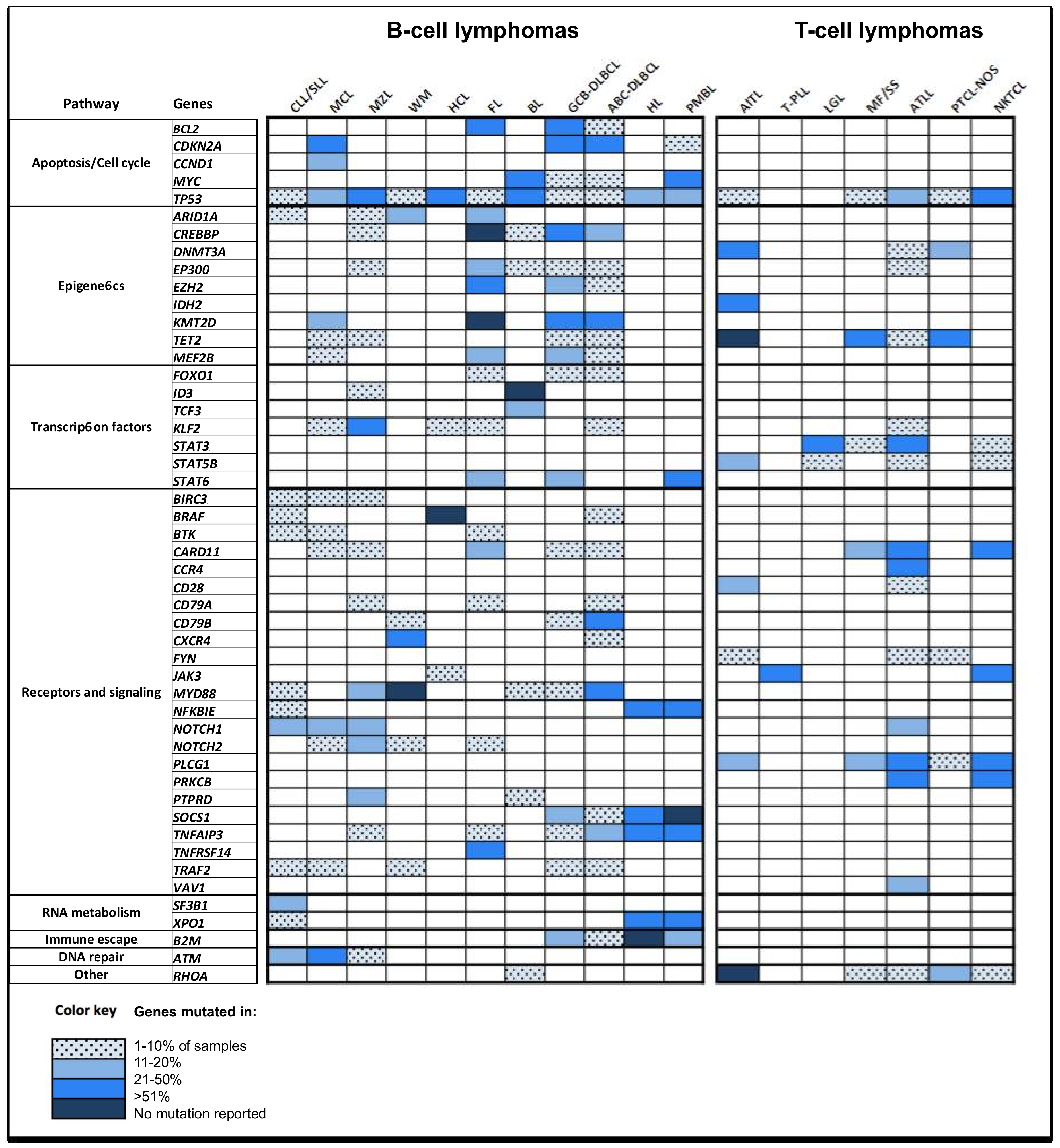 Ijms 19 01251 g001 Ijms 19 01251 g001