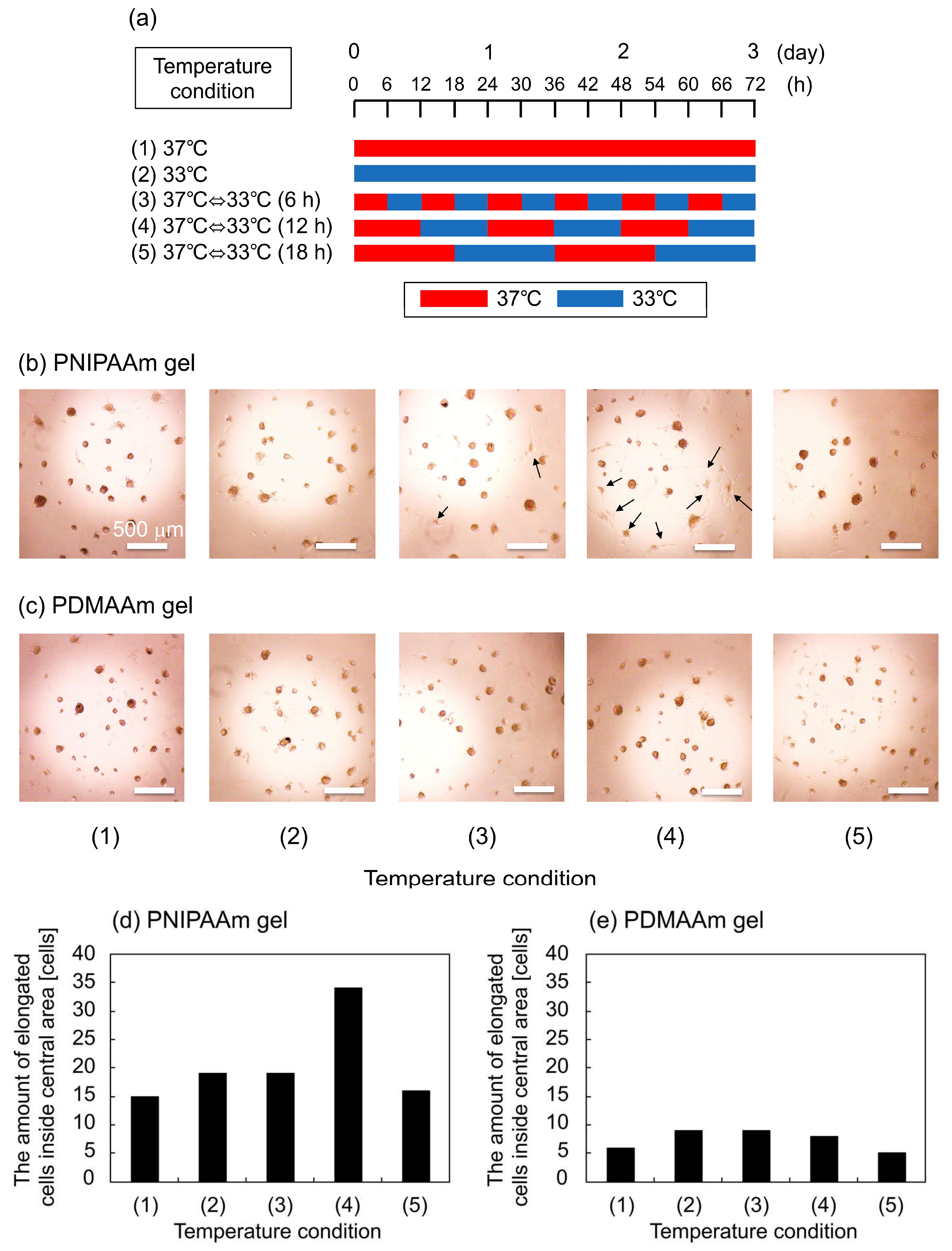 Ijms 19 01253 g004 550