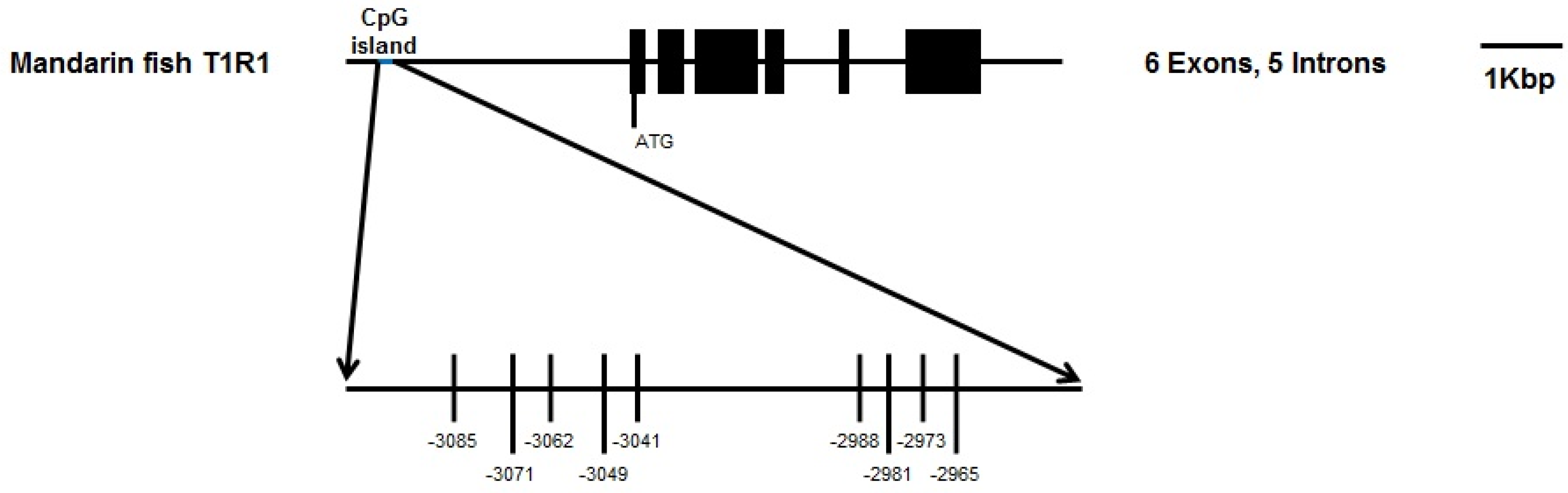 Ijms 19 01254 g005