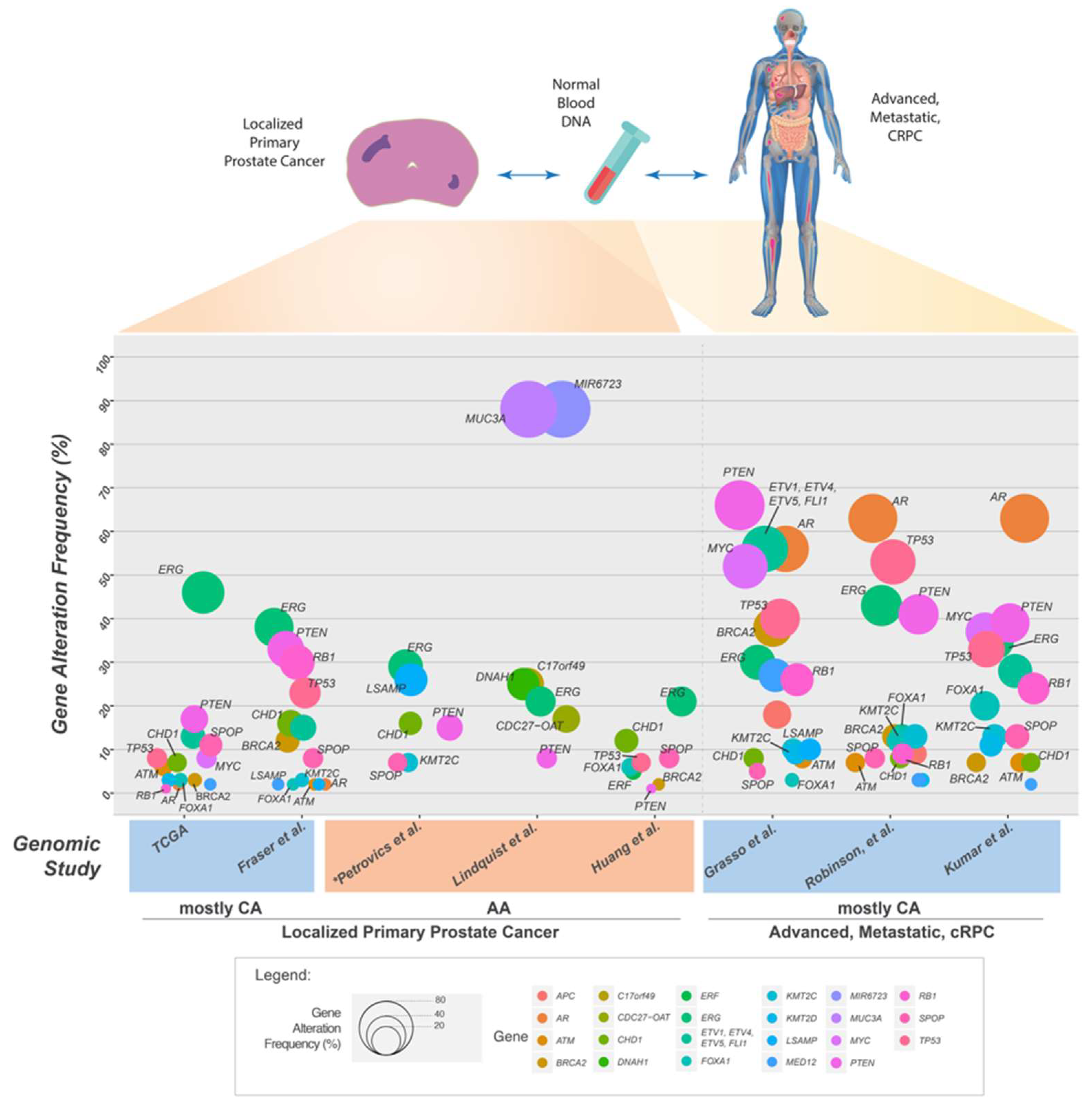Ijms Free Full Text Prostate Cancer Genomics Recent Advances And The Prevailing