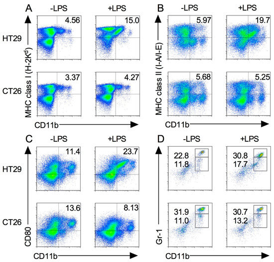 macrophage様ご確認用出品 Cytokine Expression and Macrophage Localization in Xenograft and
