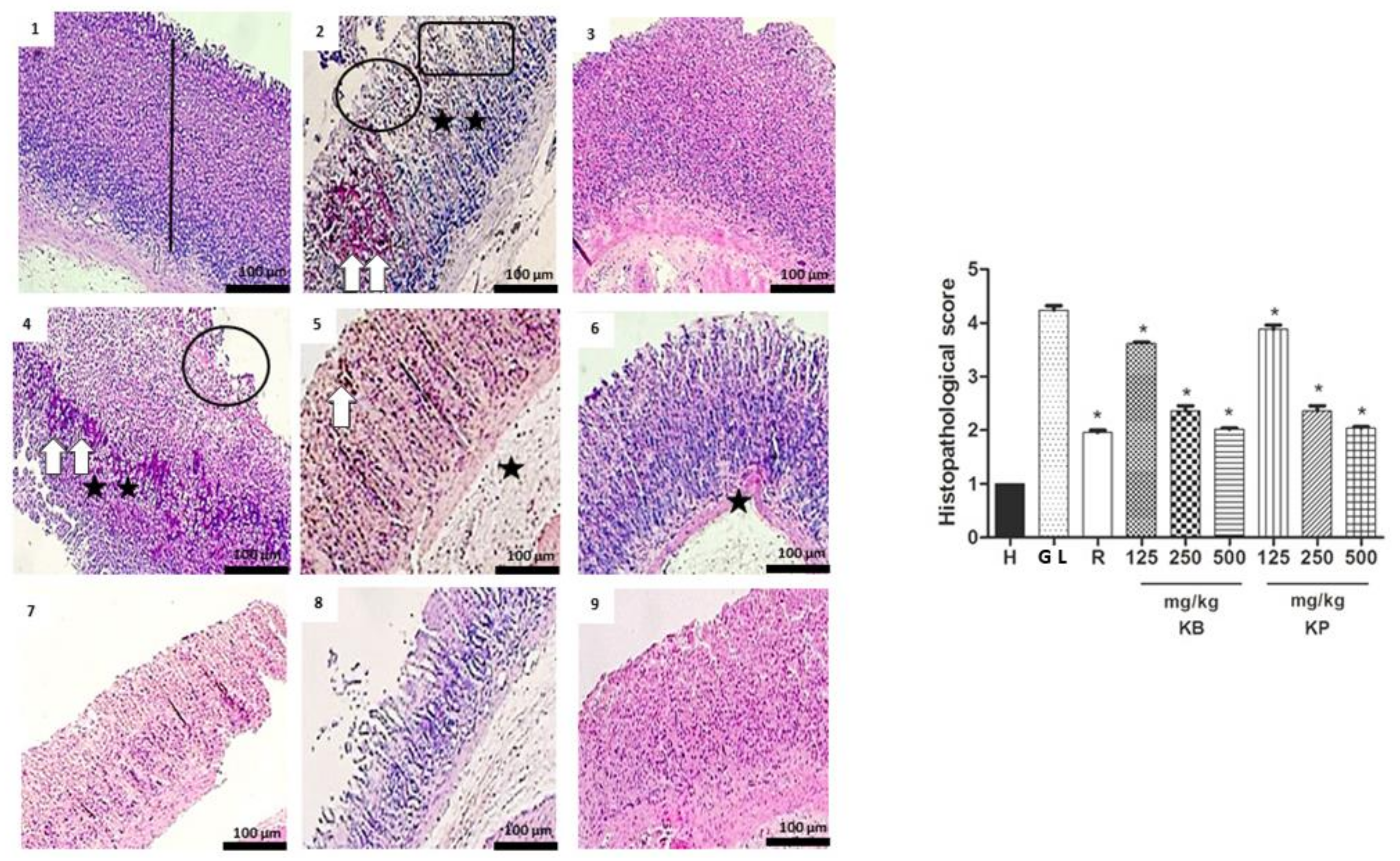 Ijms 19 01265 g006 550