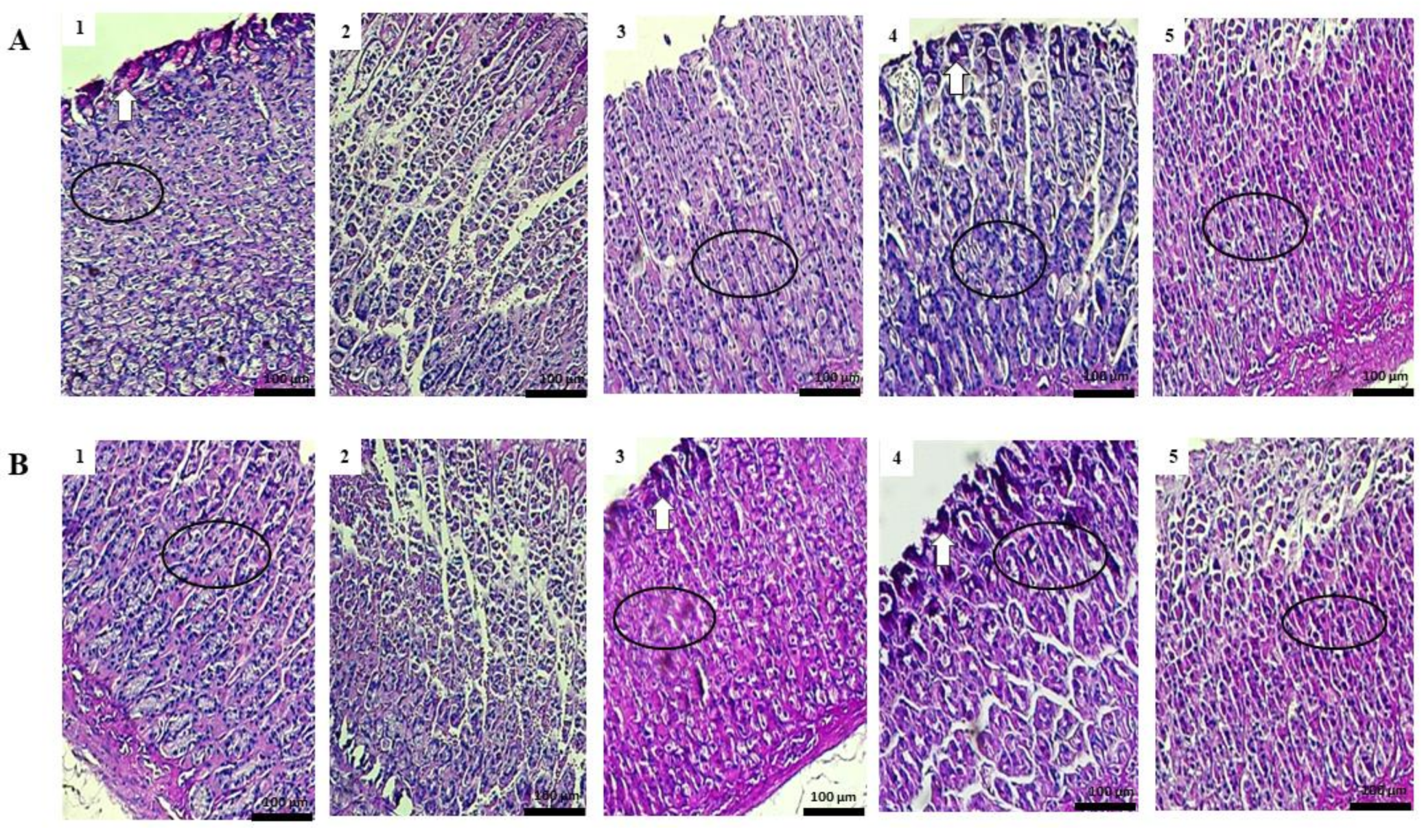 Ijms 19 01265 g008 550