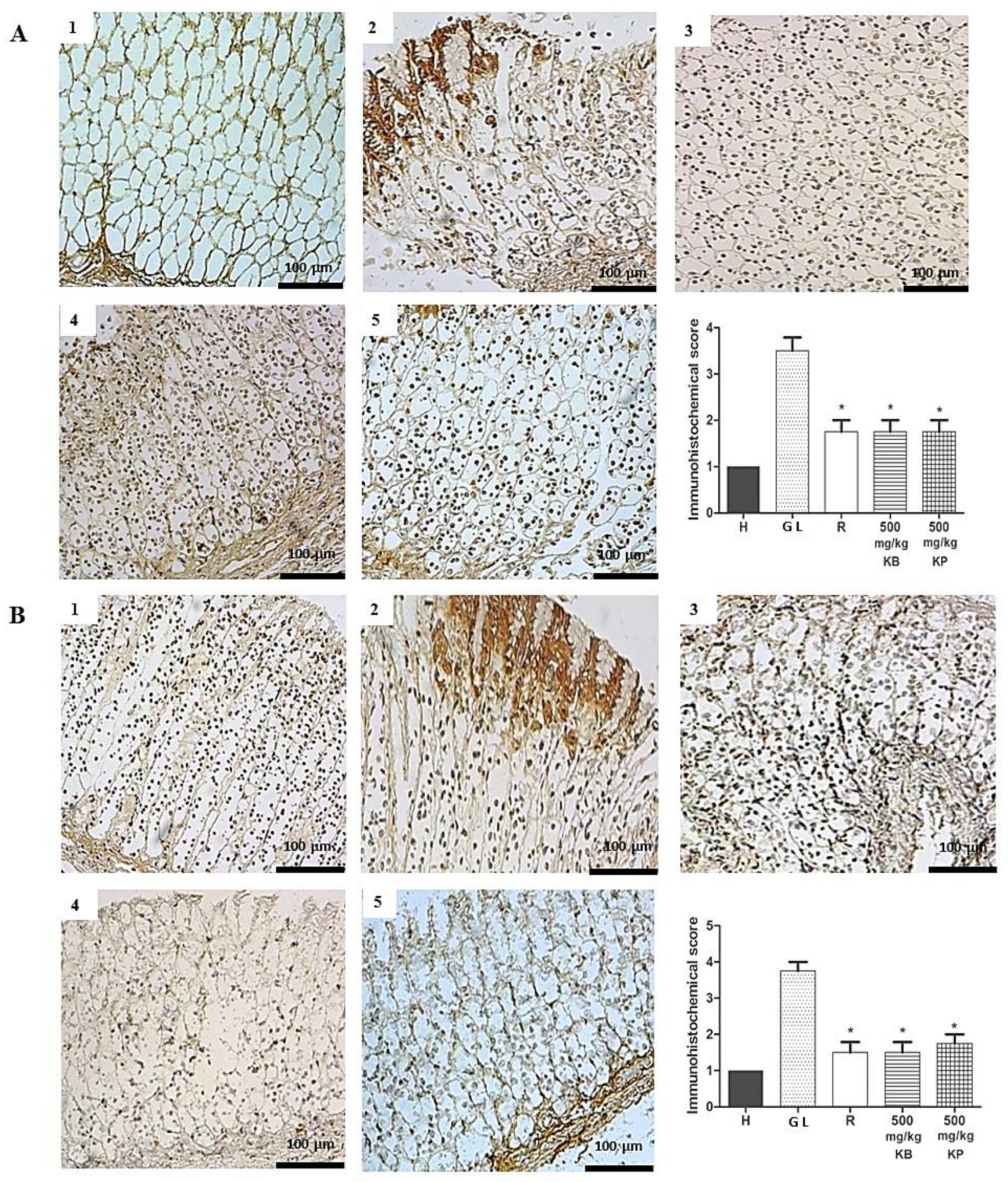 Ijms 19 01265 g010 550