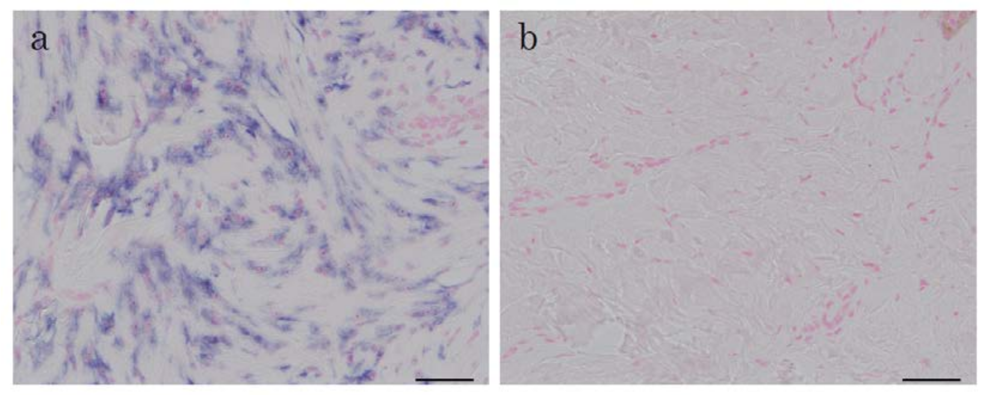 Ijms 19 01275 g001