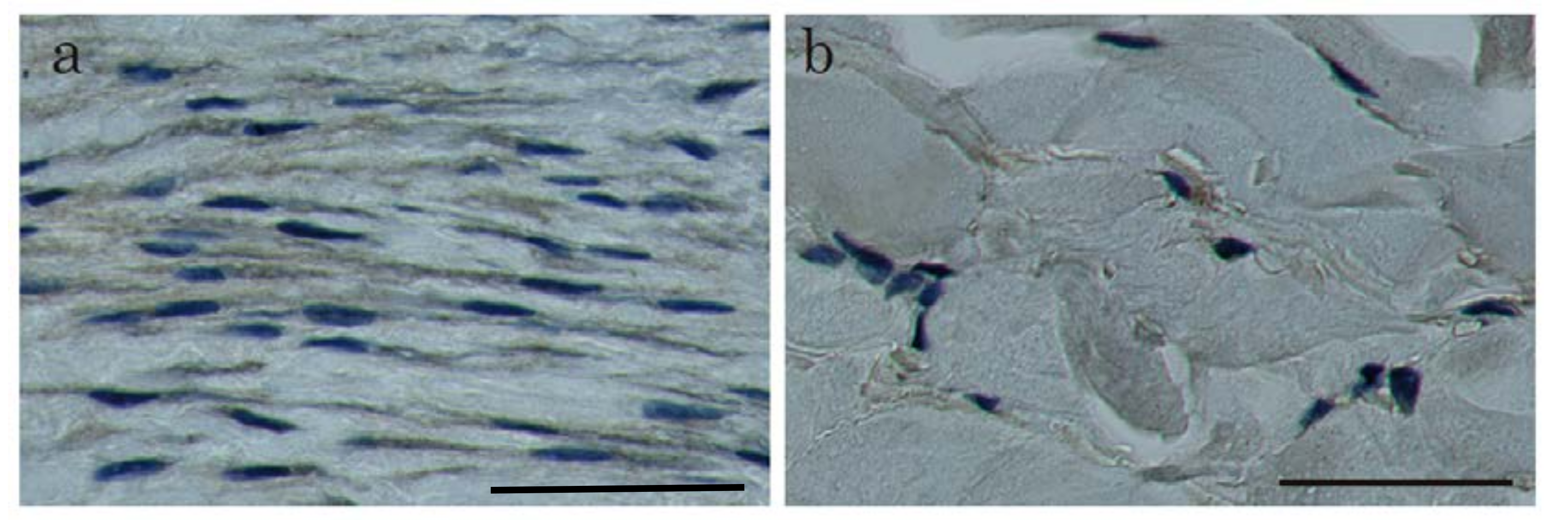 Ijms 19 01275 g003