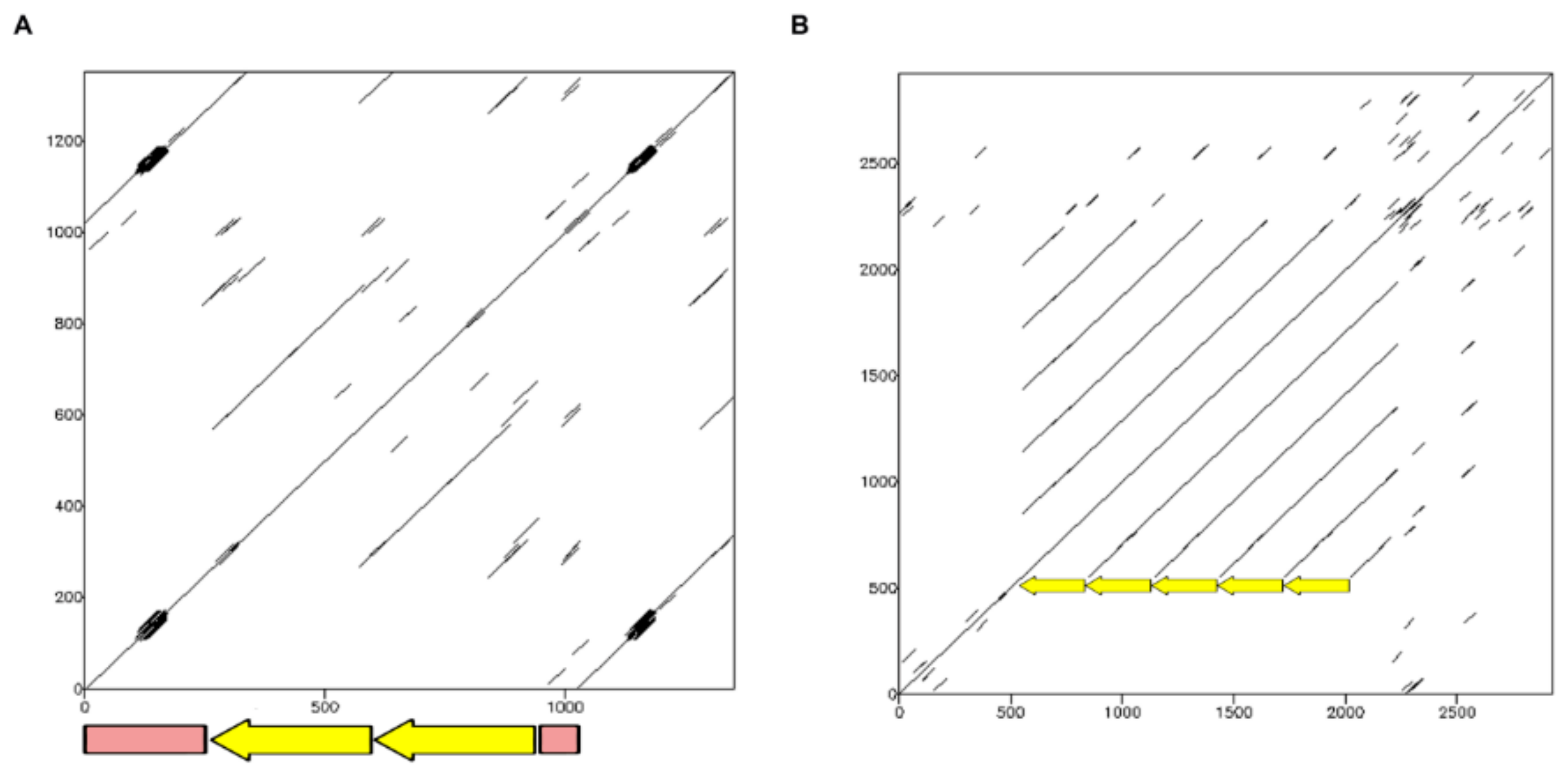 Ijms 19 01277 g001 Ijms 19 01277 g001