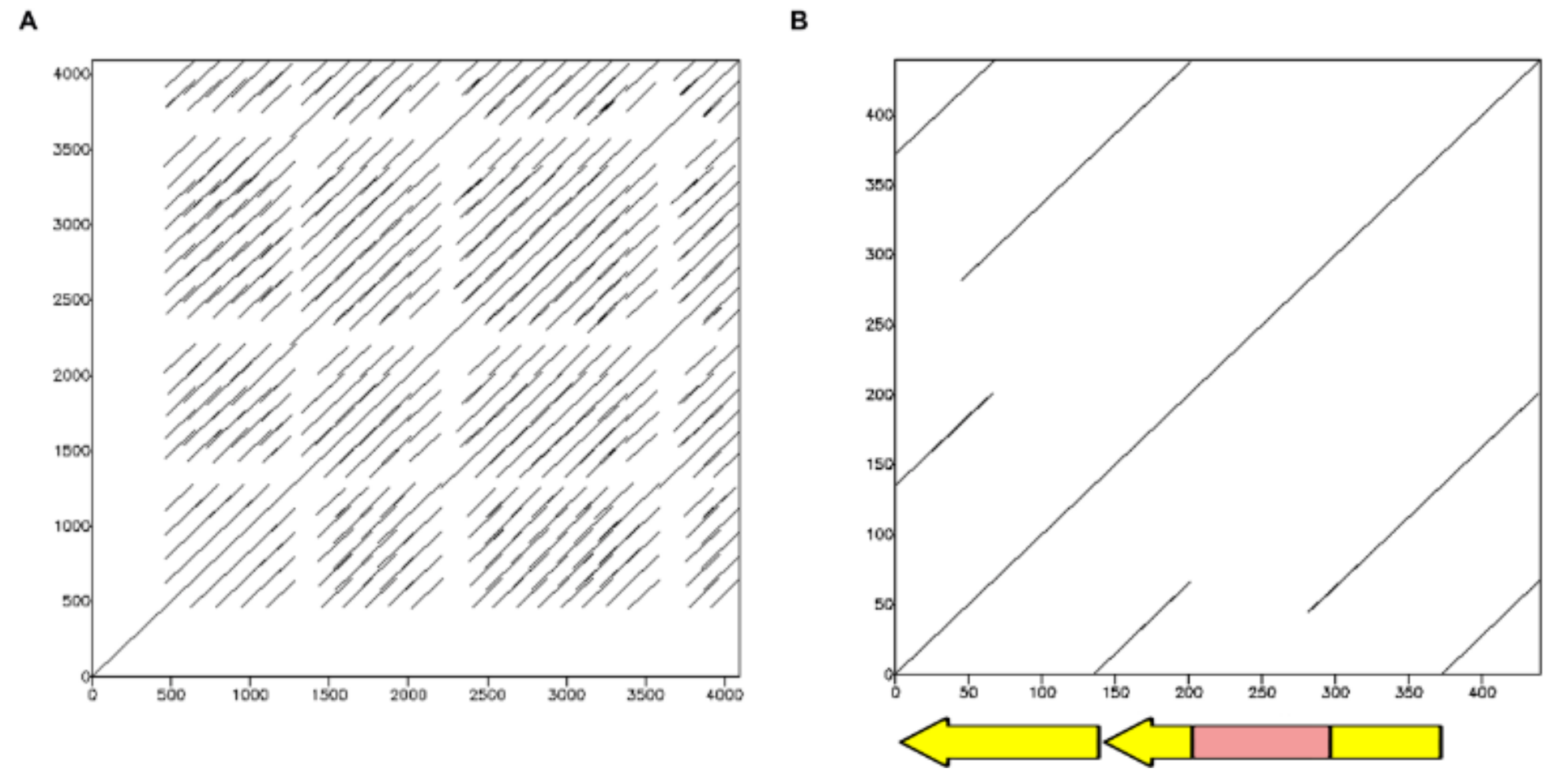 Ijms 19 01277 g002 Ijms 19 01277 g002