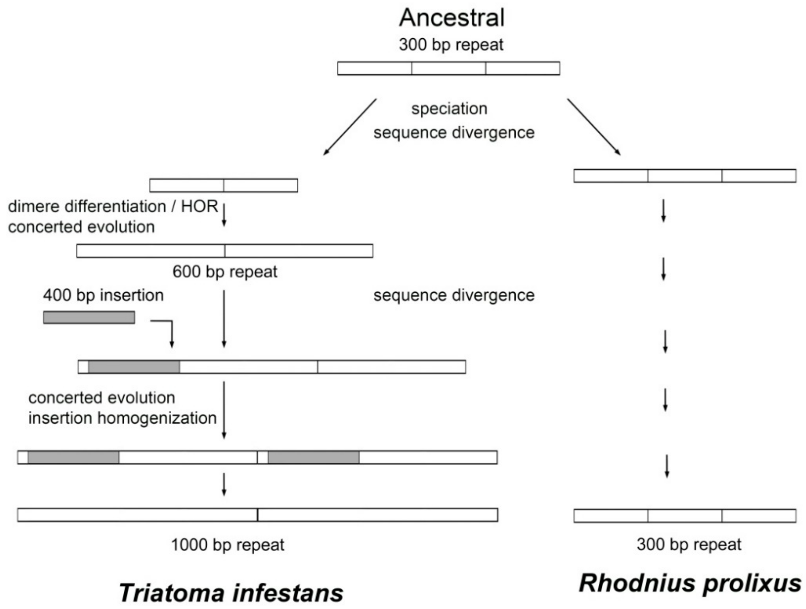 Ijms 19 01277 g004 Ijms 19 01277 g004