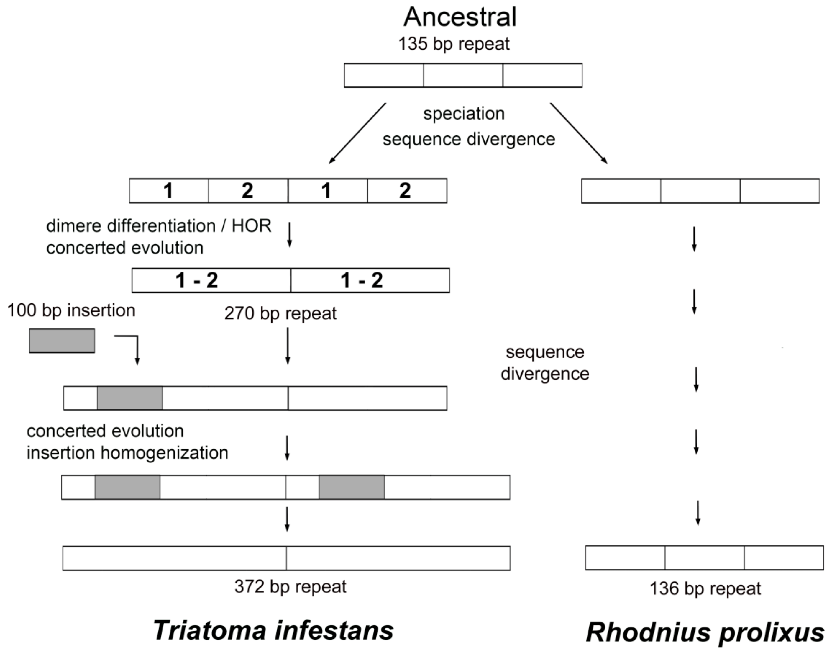 Ijms 19 01277 g005 Ijms 19 01277 g005