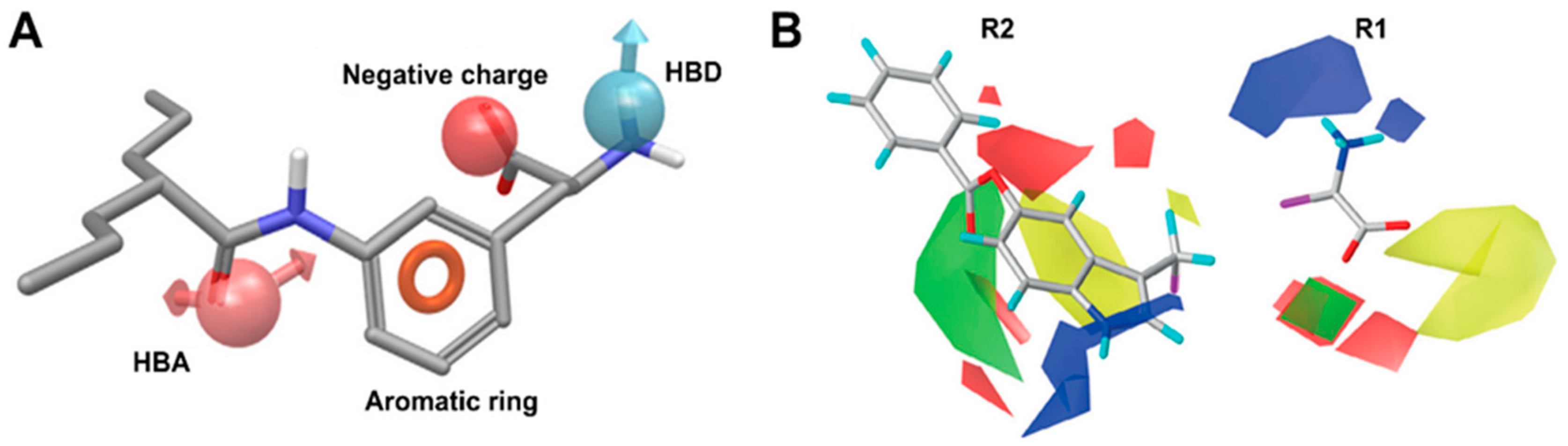 Insights into the Structure, Function, and Ligand Discovery