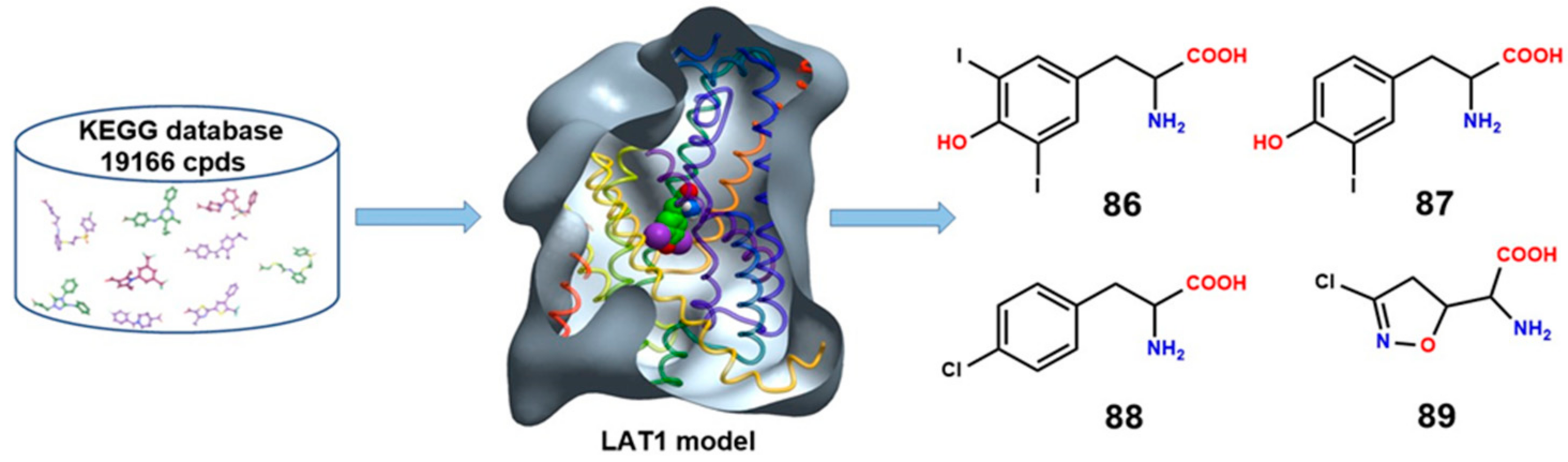 Insights into the Structure, Function, and Ligand Discovery