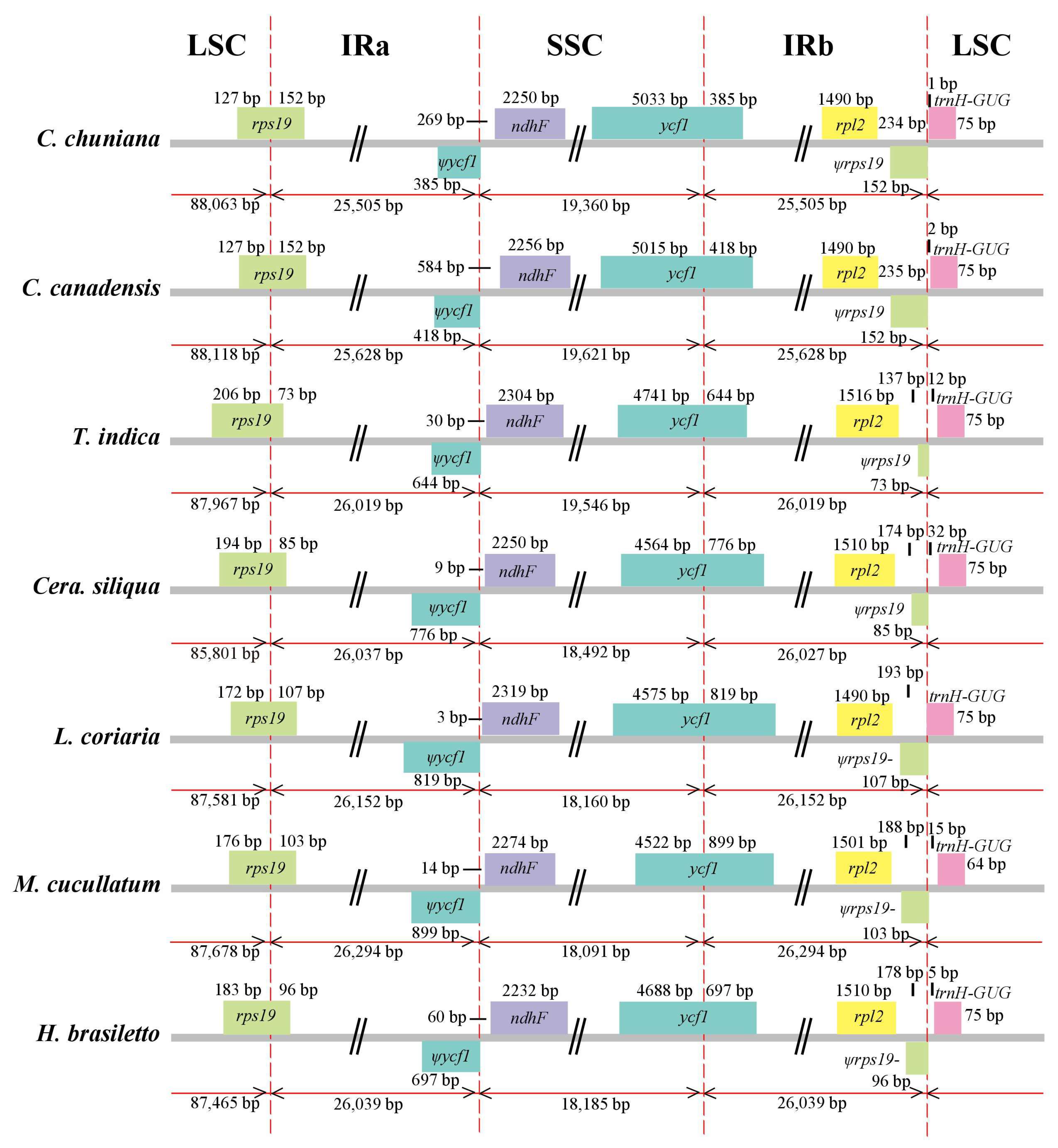 Ijms 19 01286 g002 Ijms 19 01286 g002