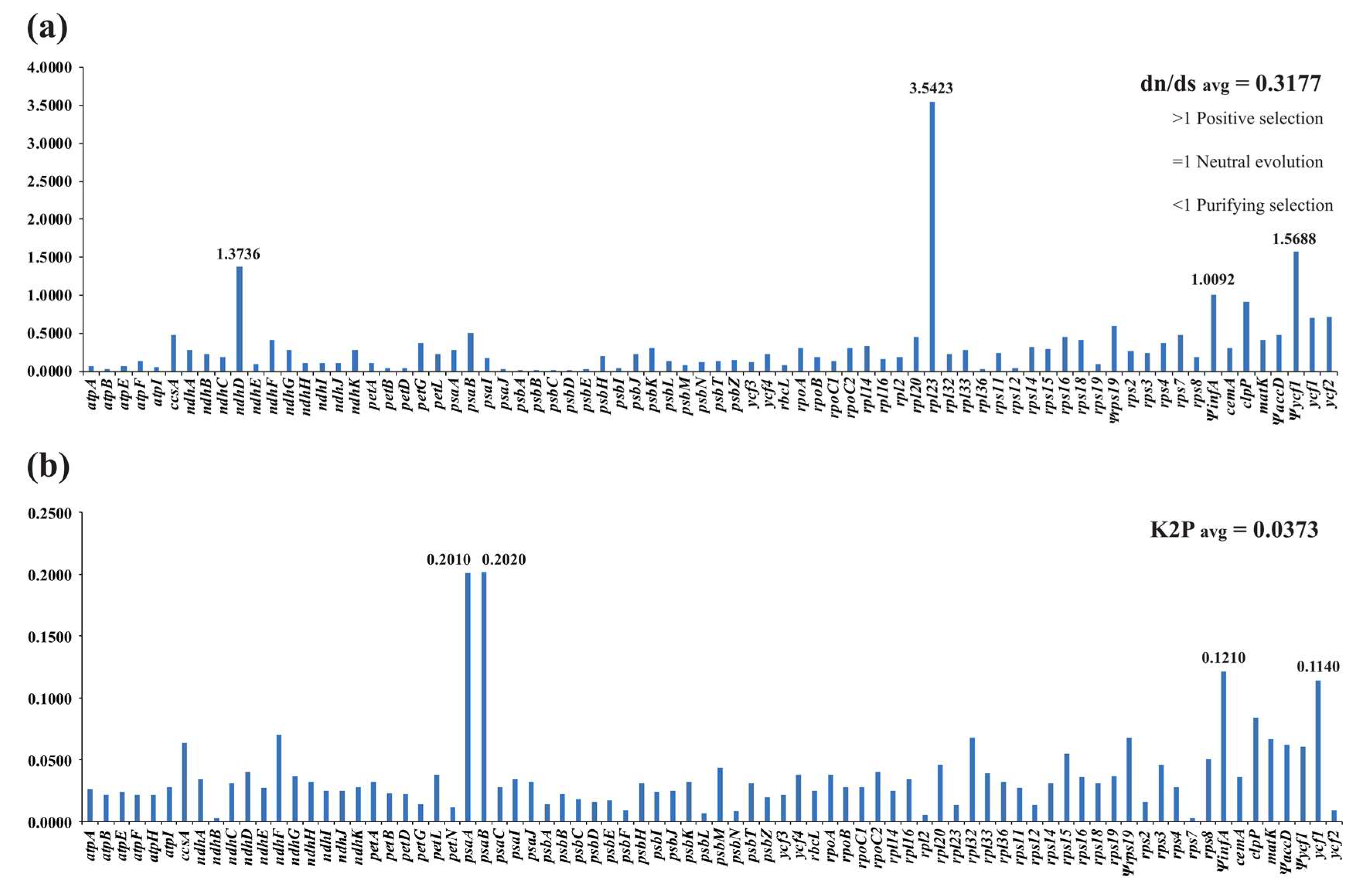 Ijms 19 01286 g005 Ijms 19 01286 g005